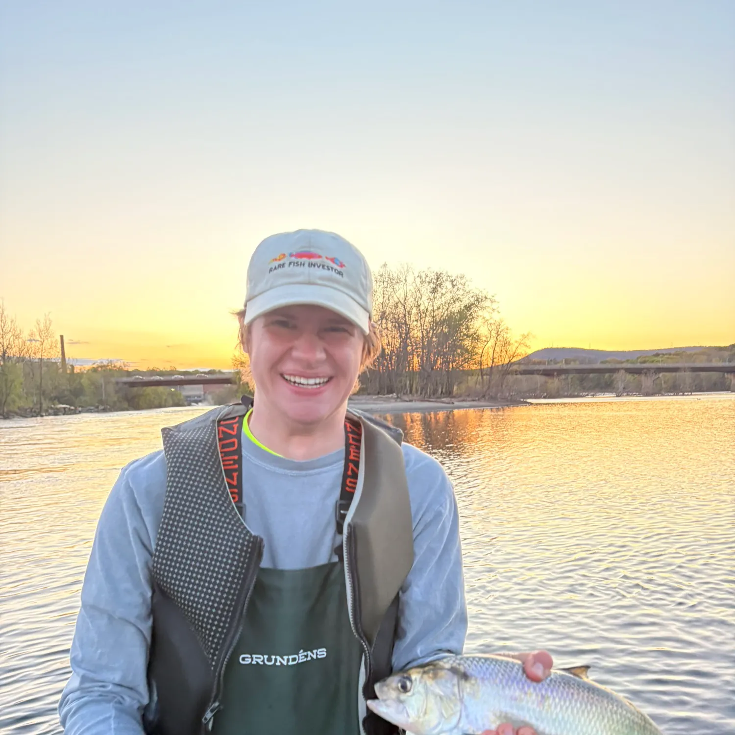 The most recent American shad catches on Fishbrain