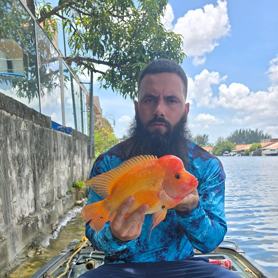 The most recent Midas cichlid catches on Fishbrain