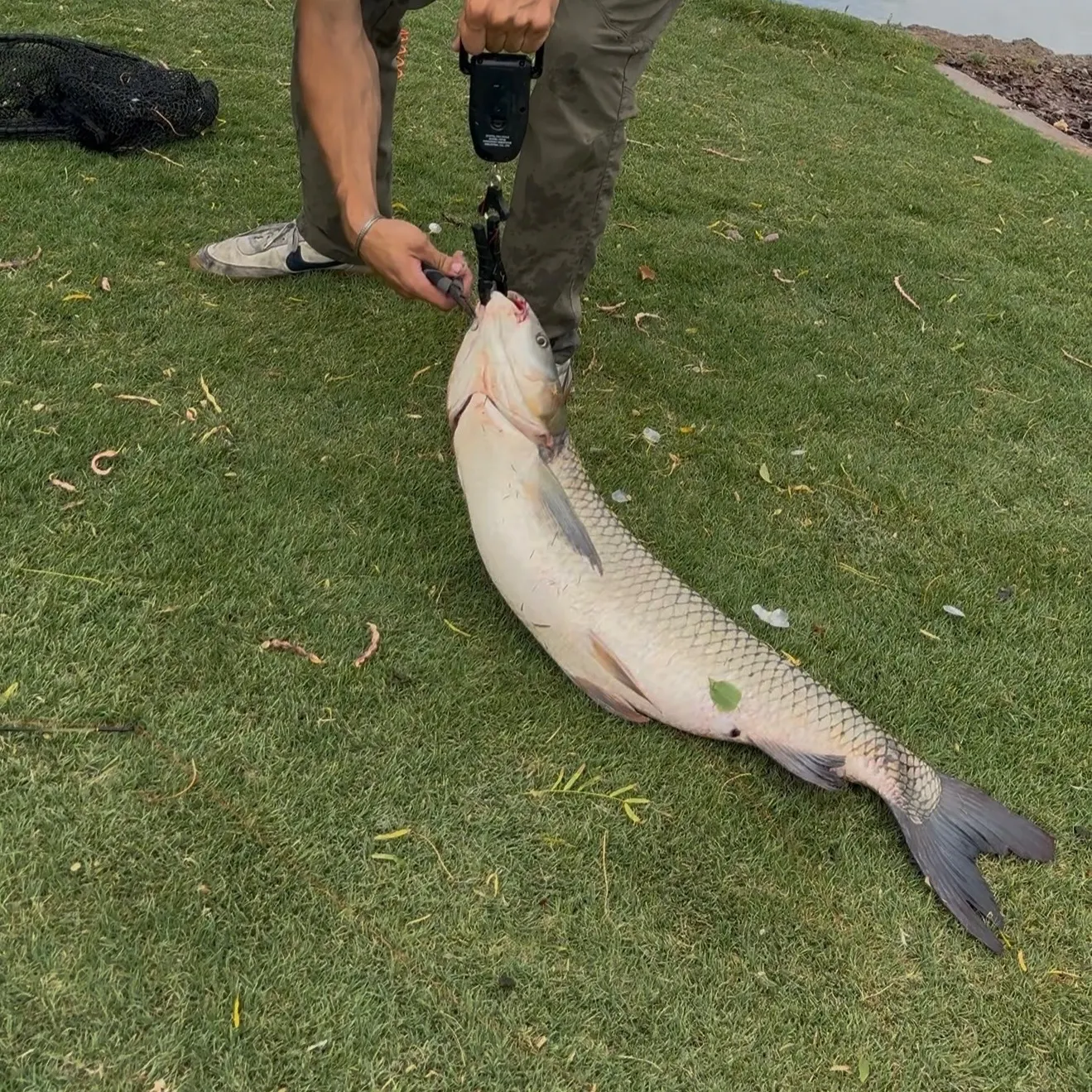 catch