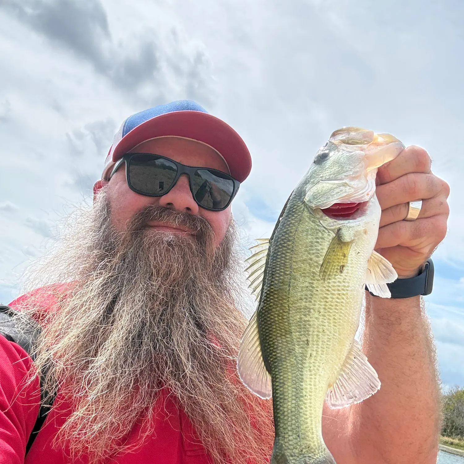 Largemouth bass caught on Fishbrain