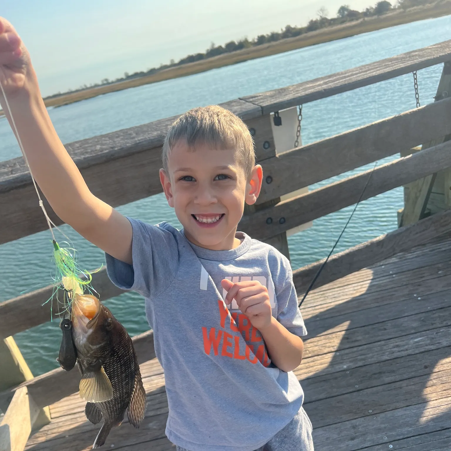 The most recent Black sea bass catches on Fishbrain
