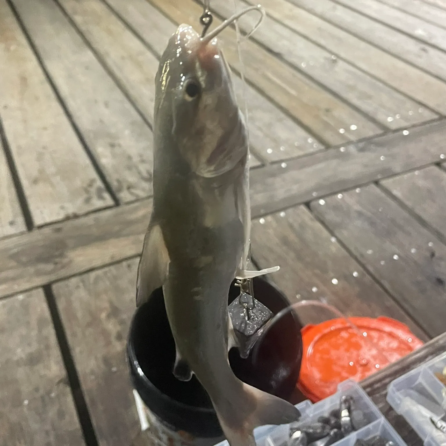 catch
