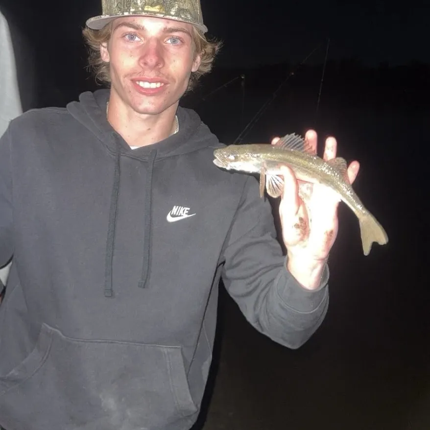 Walleye caught on Fishbrain