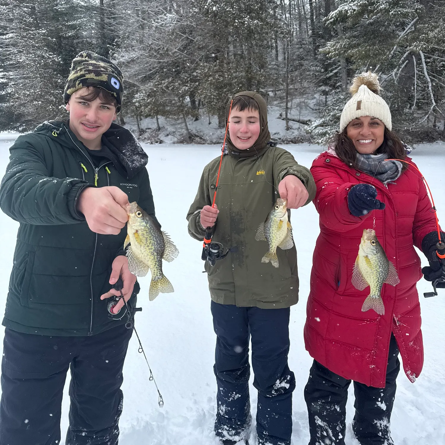 recently logged catches