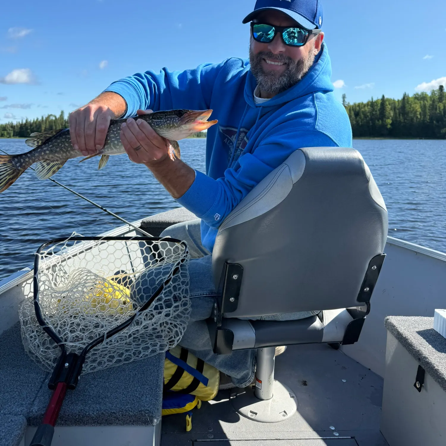 Northern pike caught on Fishbrain