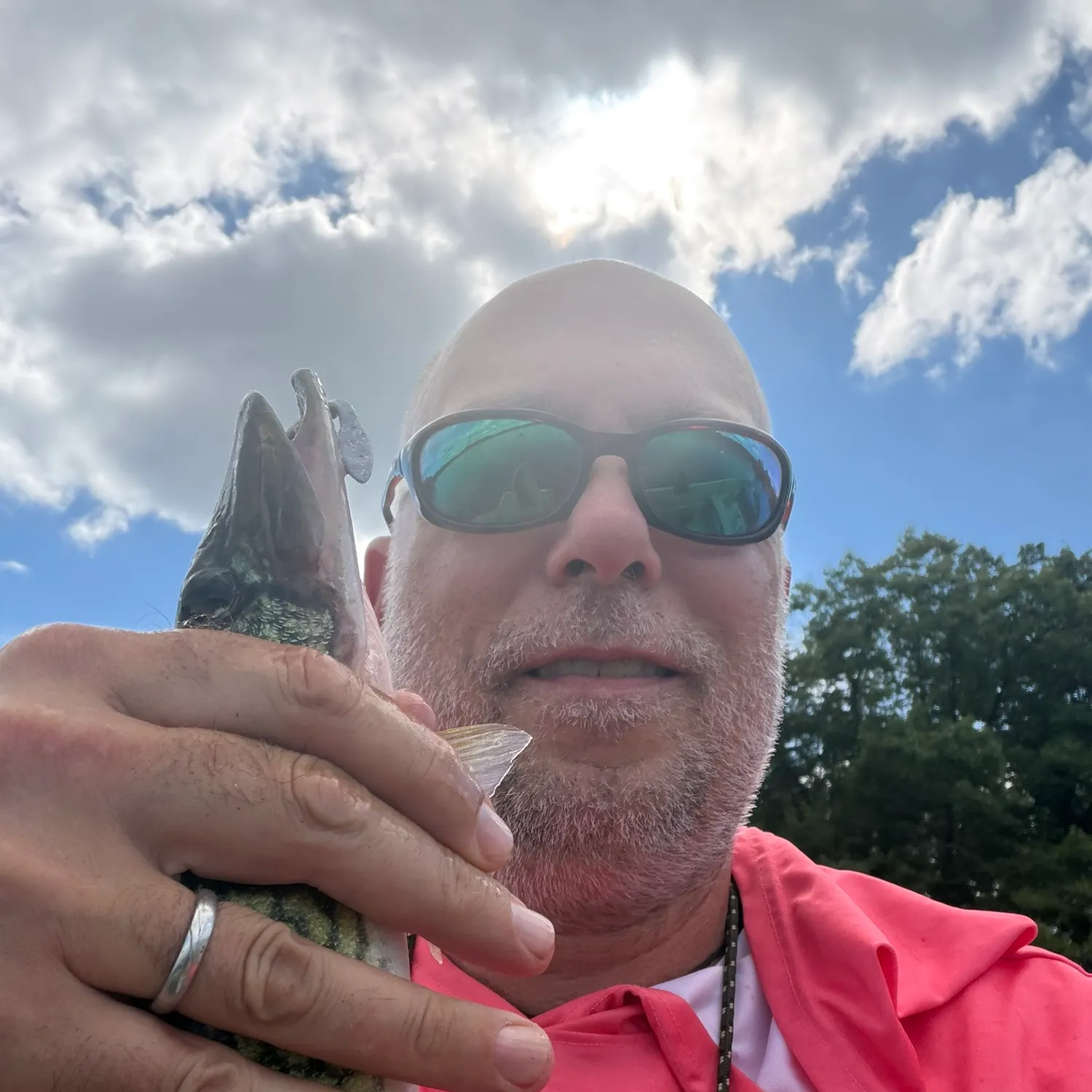 Chain pickerel caught on Fishbrain