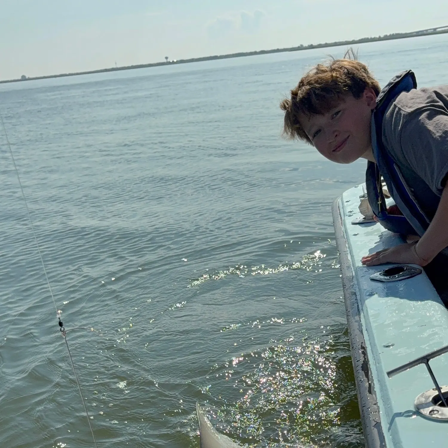 Sandbar shark caught on Fishbrain