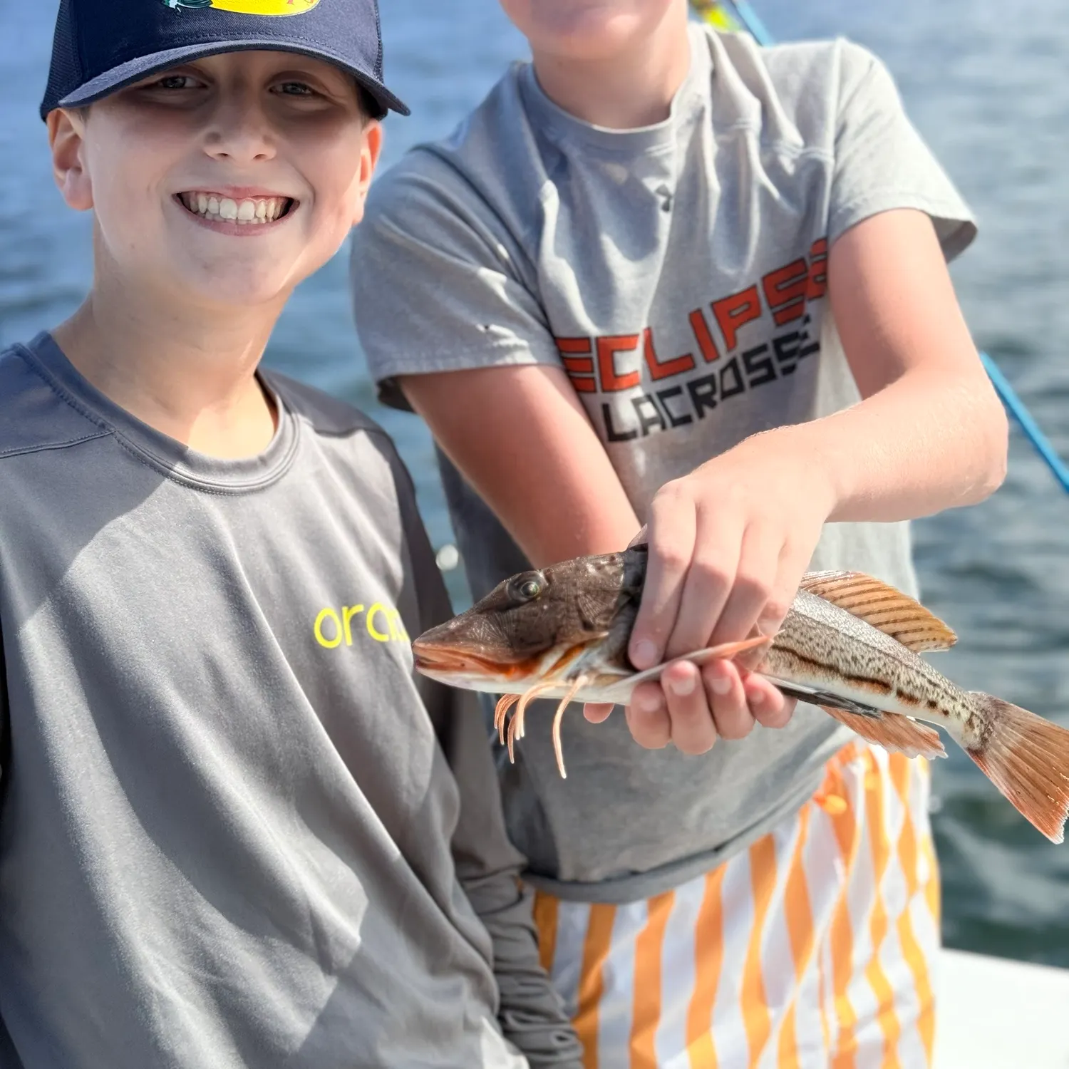 Striped searobin caught on Fishbrain