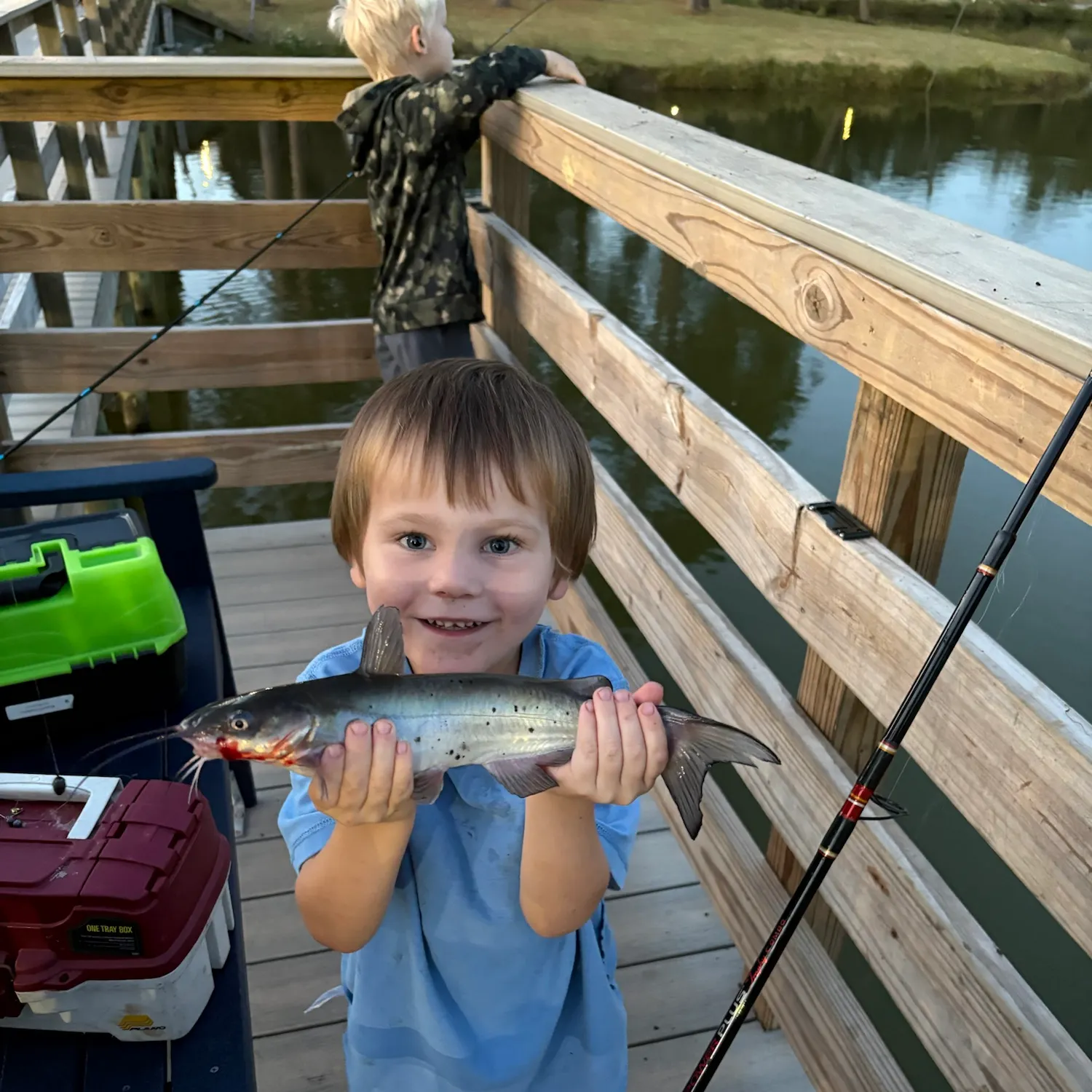 Blue catfish caught on Fishbrain