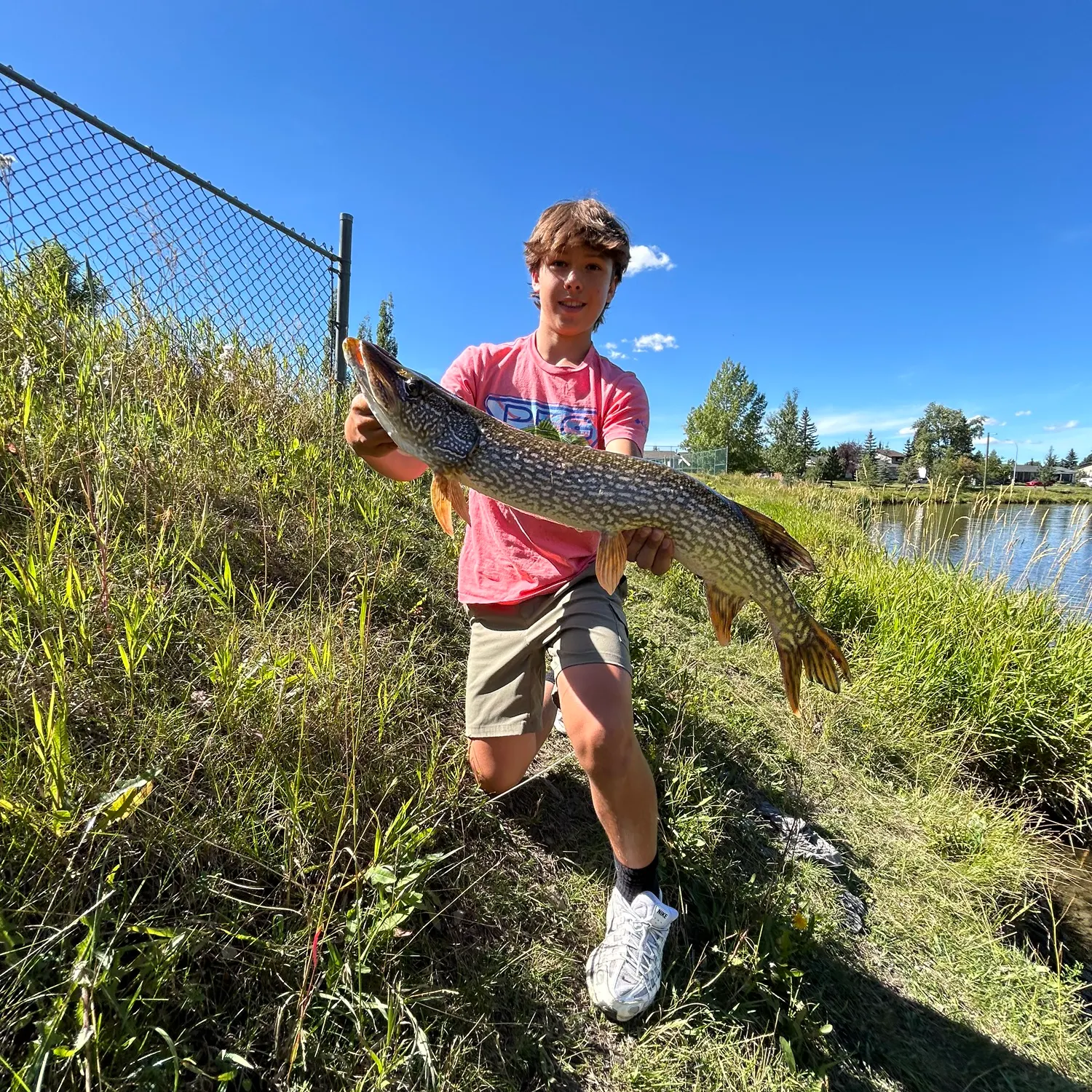 catch