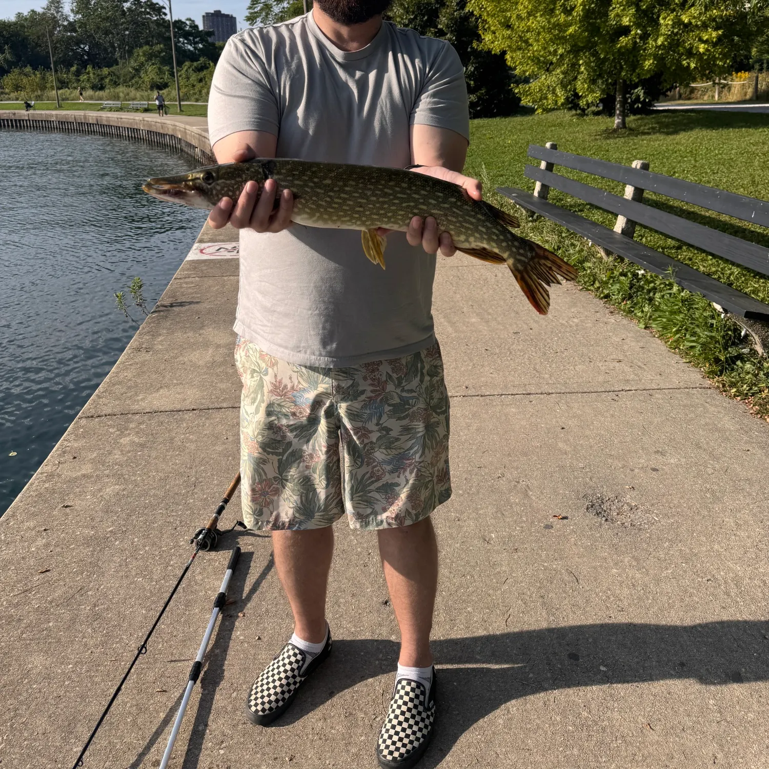 Northern pike caught on Fishbrain