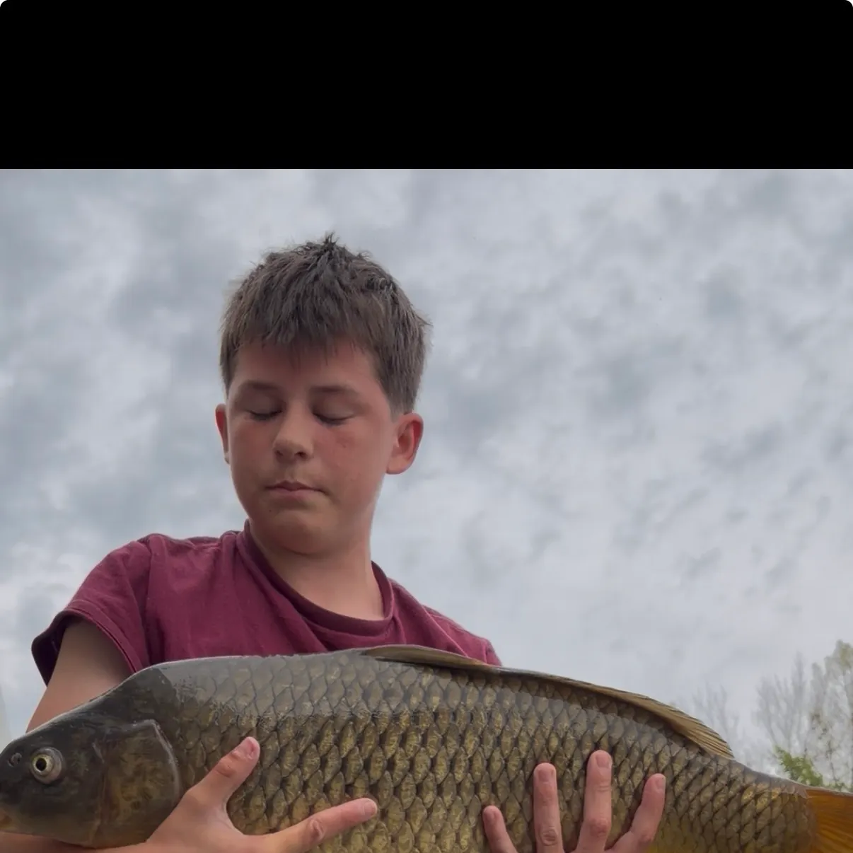 Common carp caught on Fishbrain