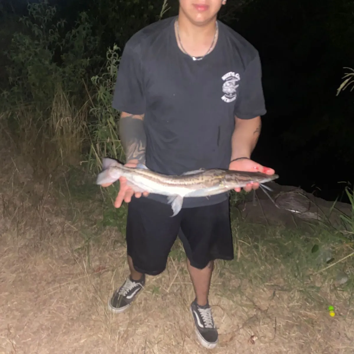 The most recent Manduba catches on Fishbrain