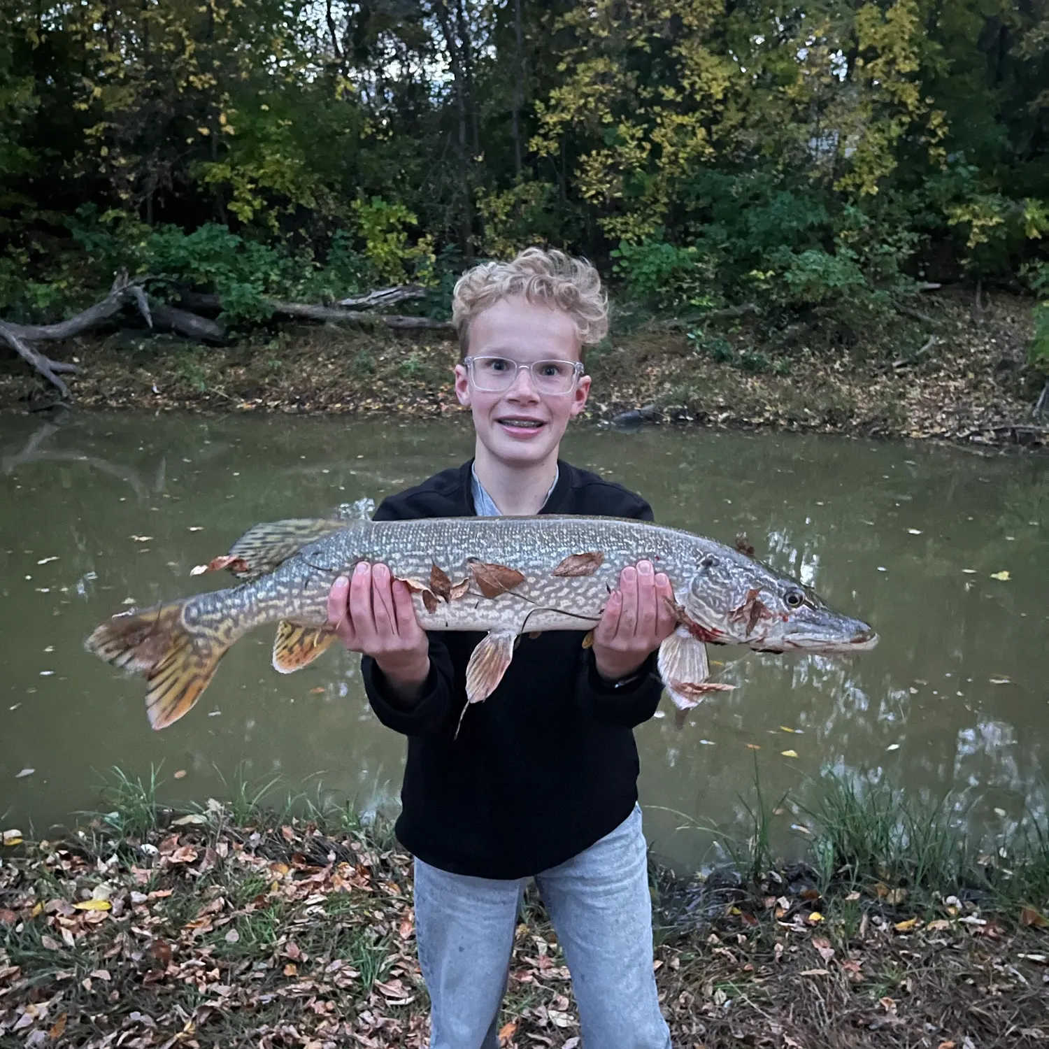 Northern pike caught on Fishbrain