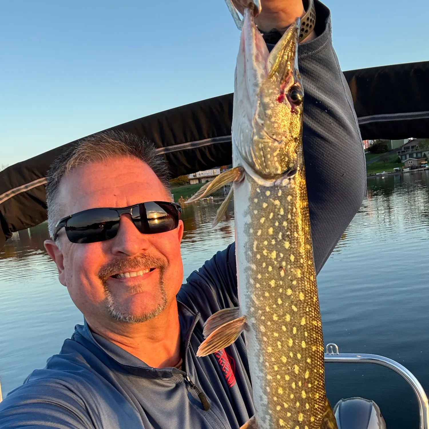 Northern pike caught on Fishbrain