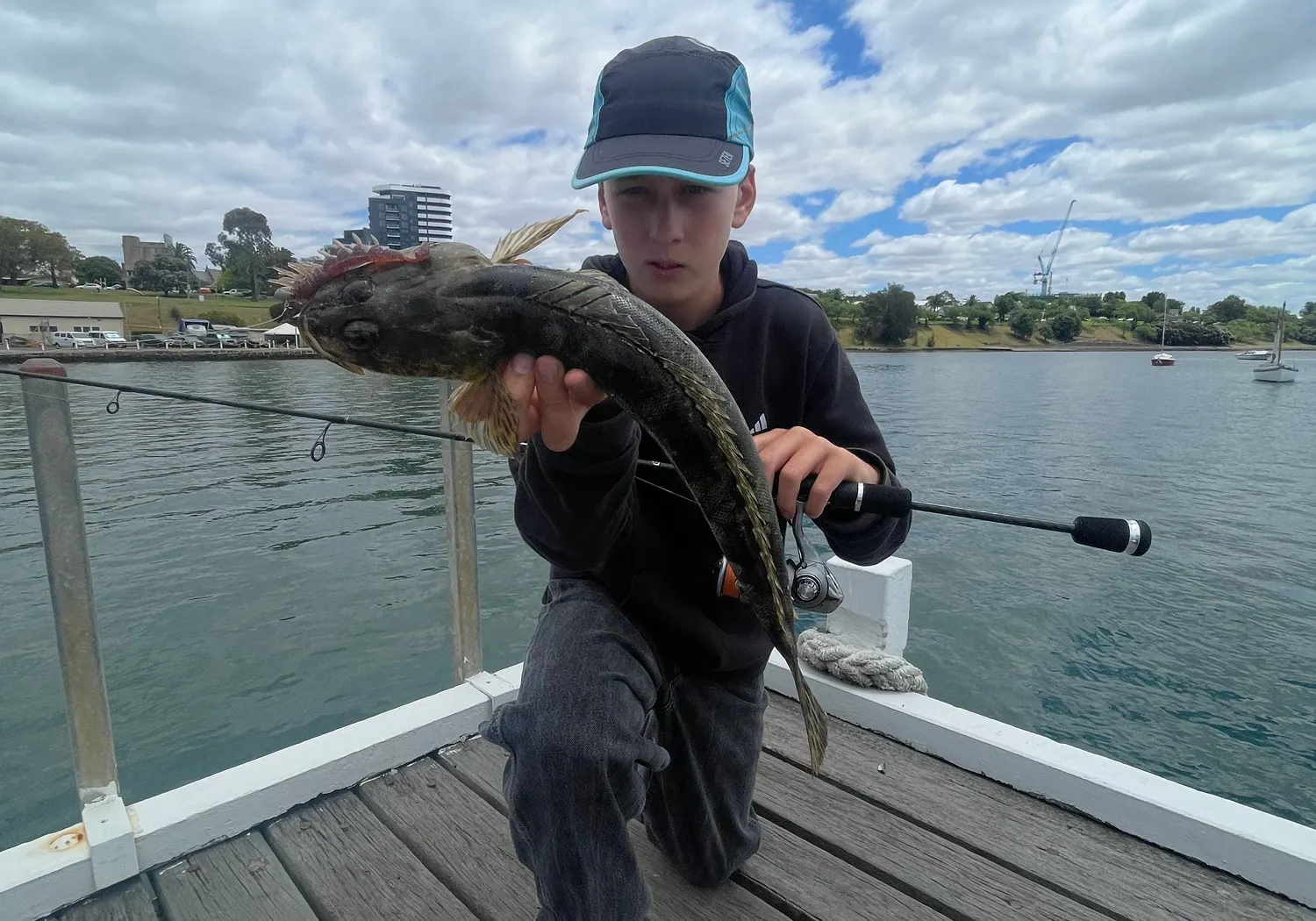 Rock flathead