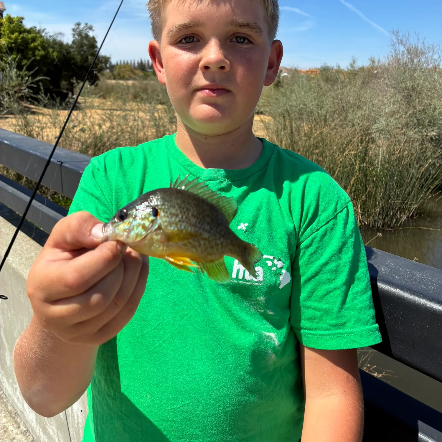 Fish caught on Fishbrain