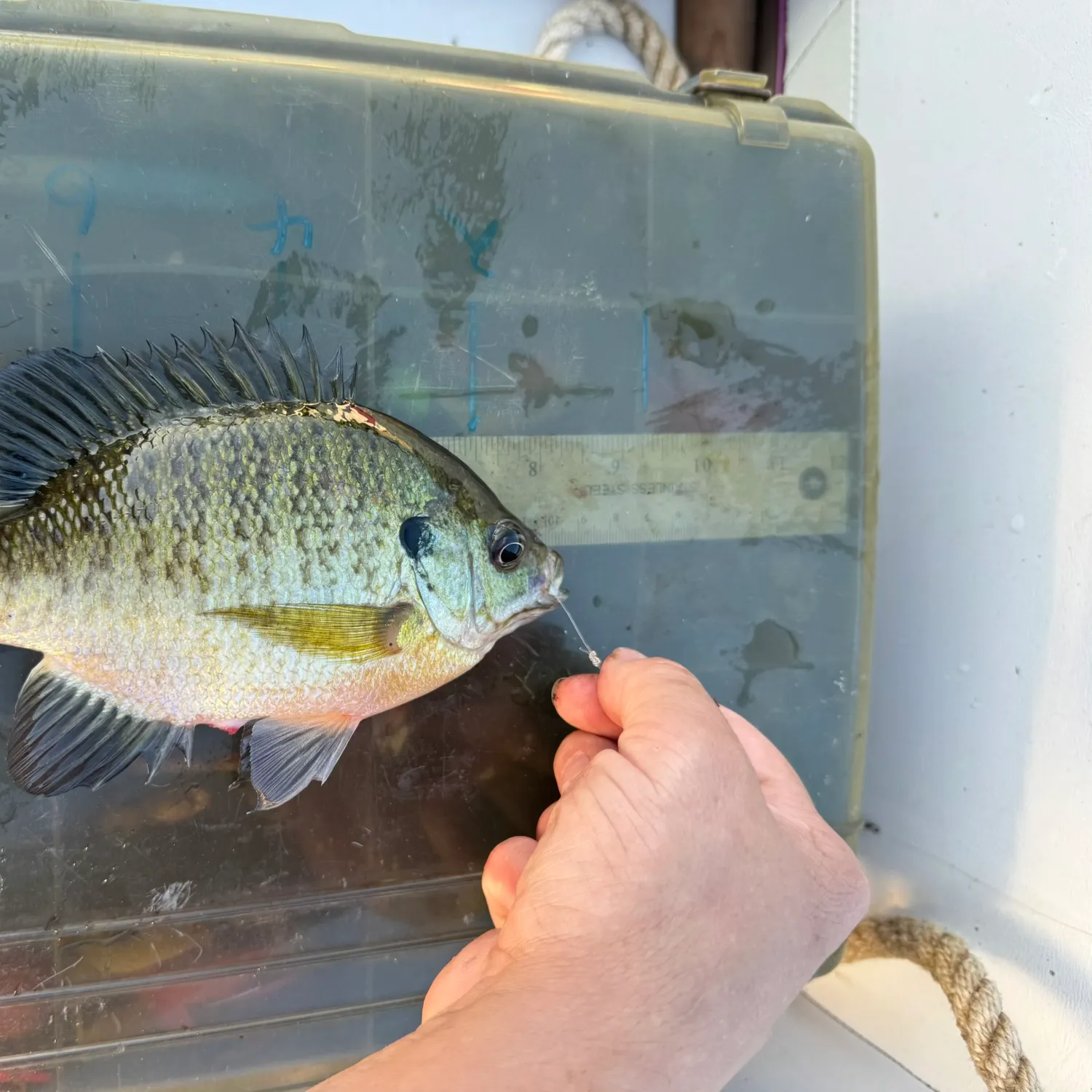 catch