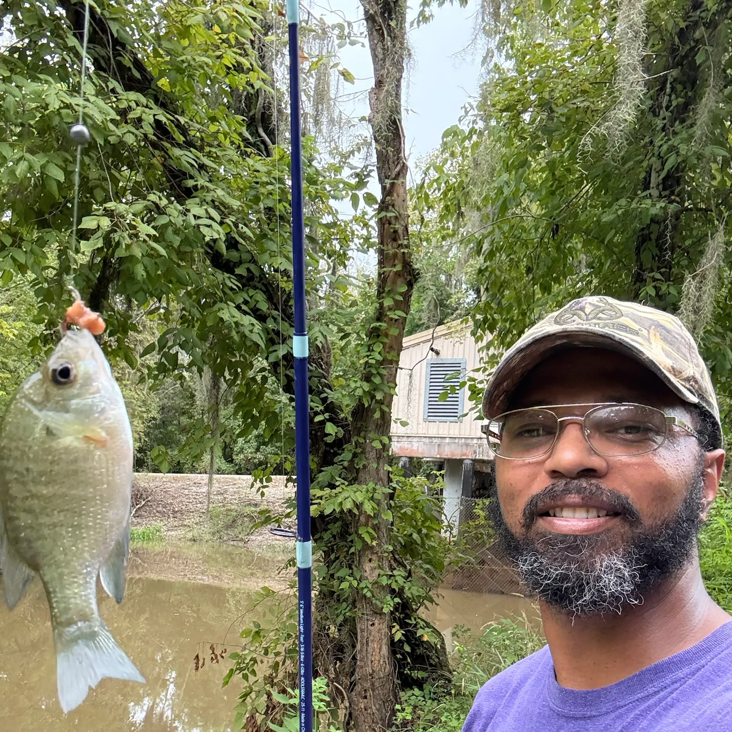 Bluegill caught on Fishbrain