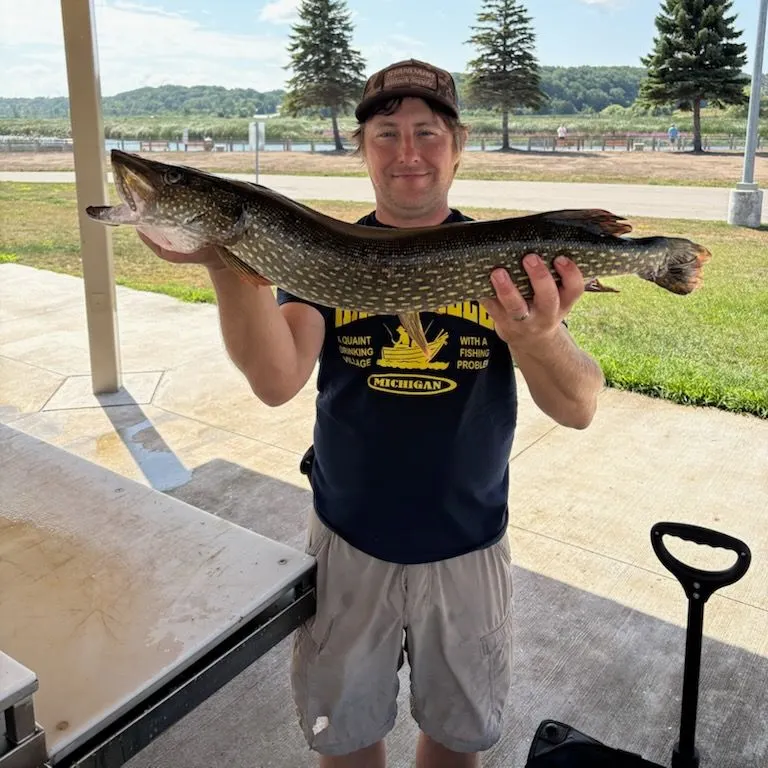 Northern pike caught on Fishbrain