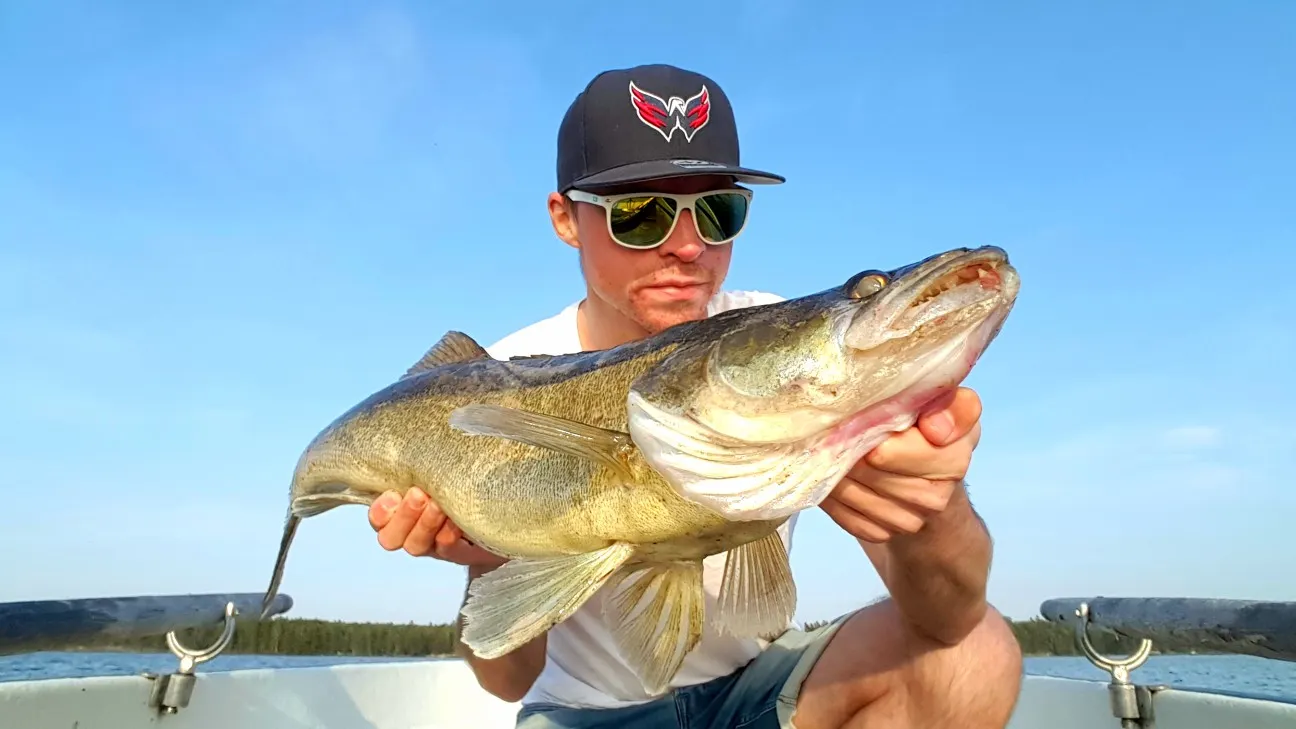 Post image from JPsson