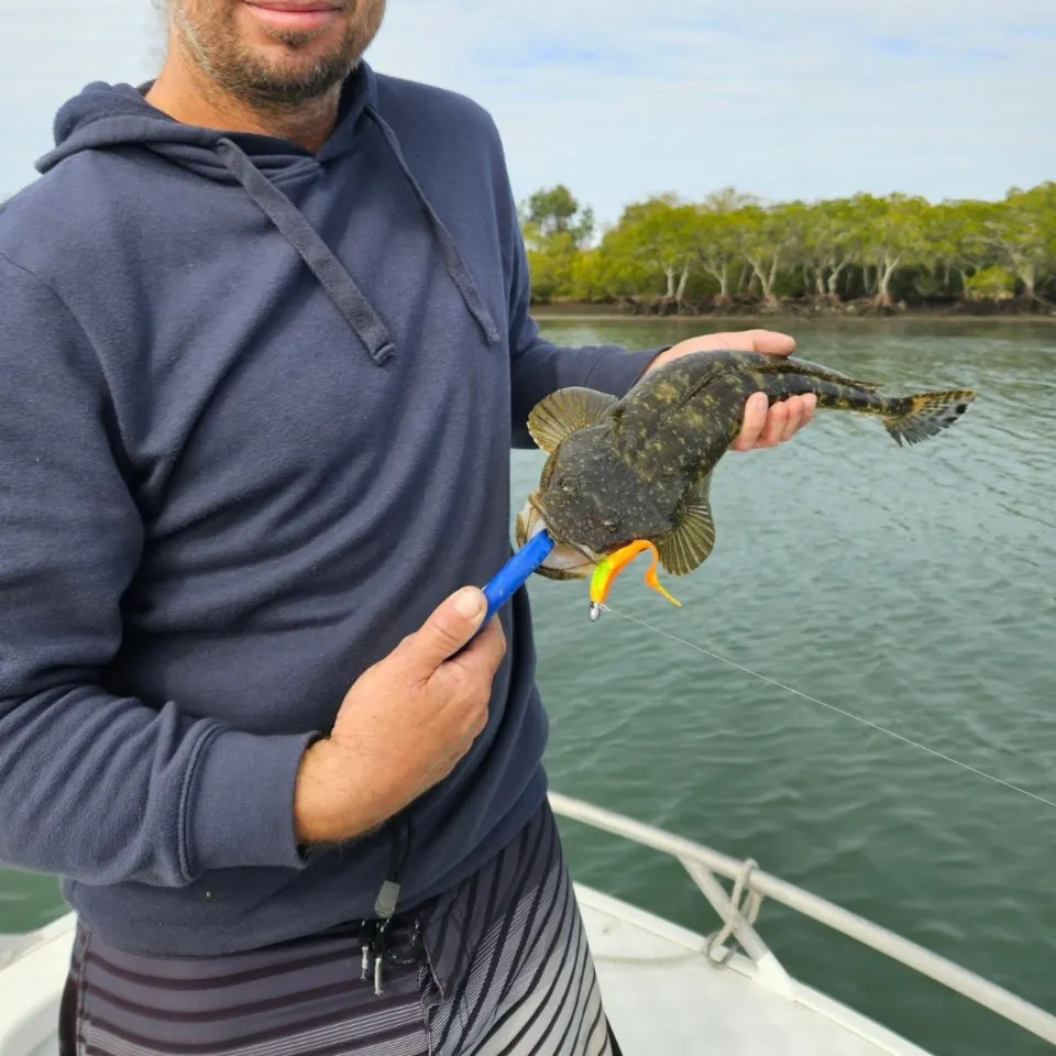 The most recent Dusky flathead catches on Fishbrain