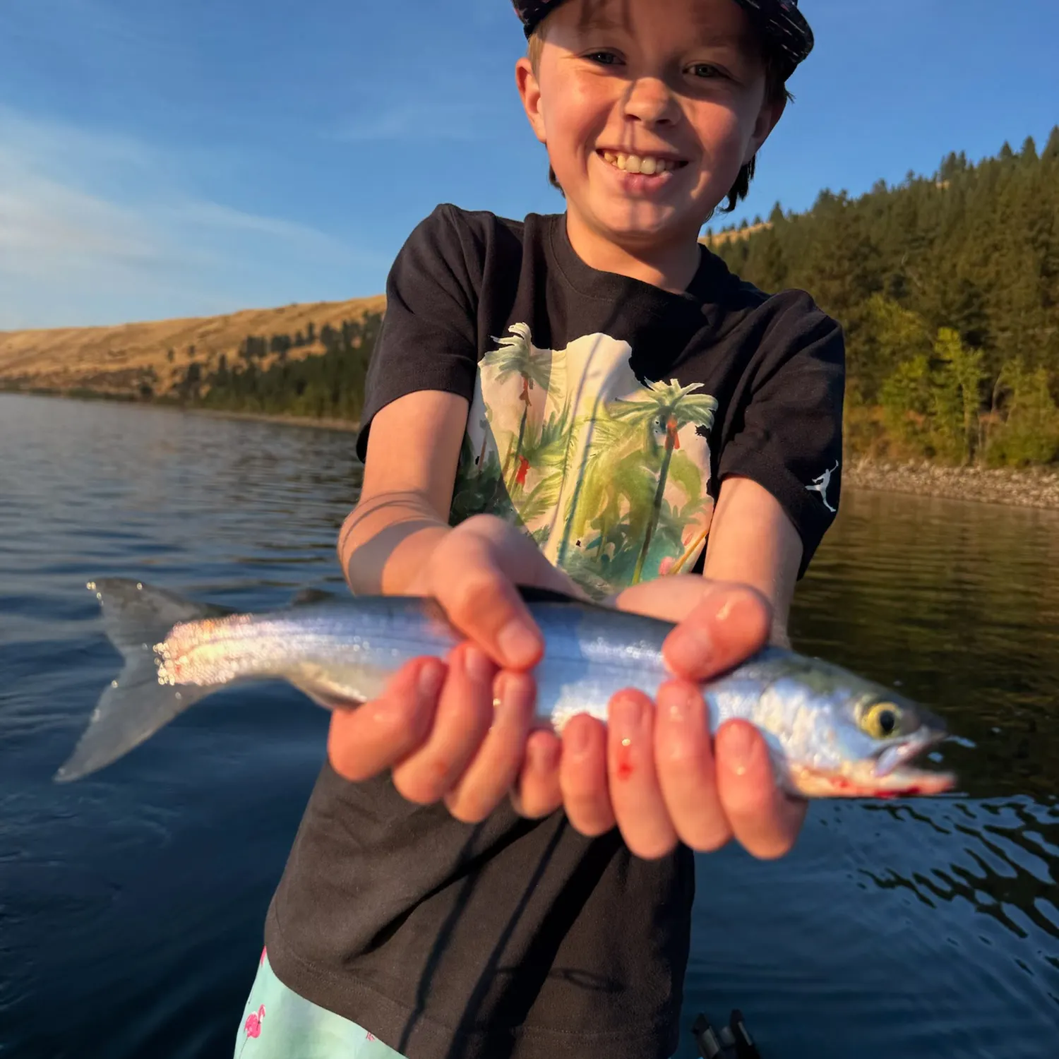 Kokanee salmon caught on Fishbrain
