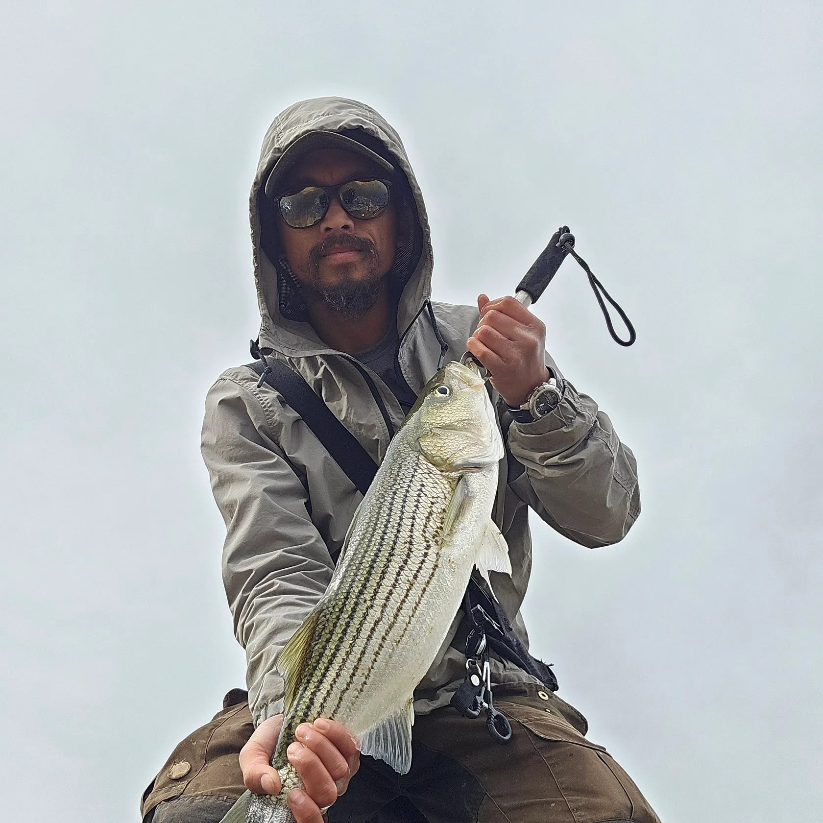 The most recent Striped bass catches on Fishbrain
