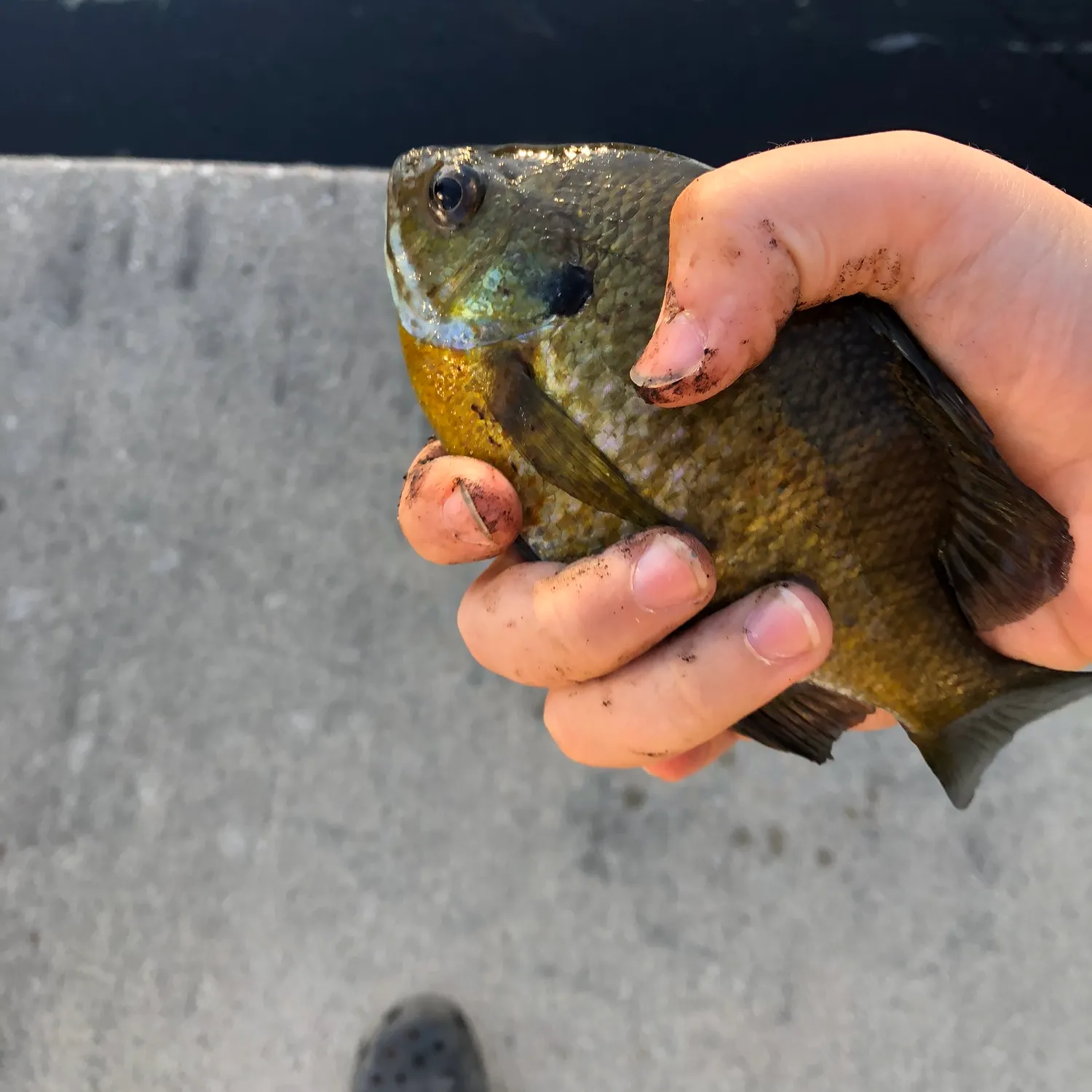 catch