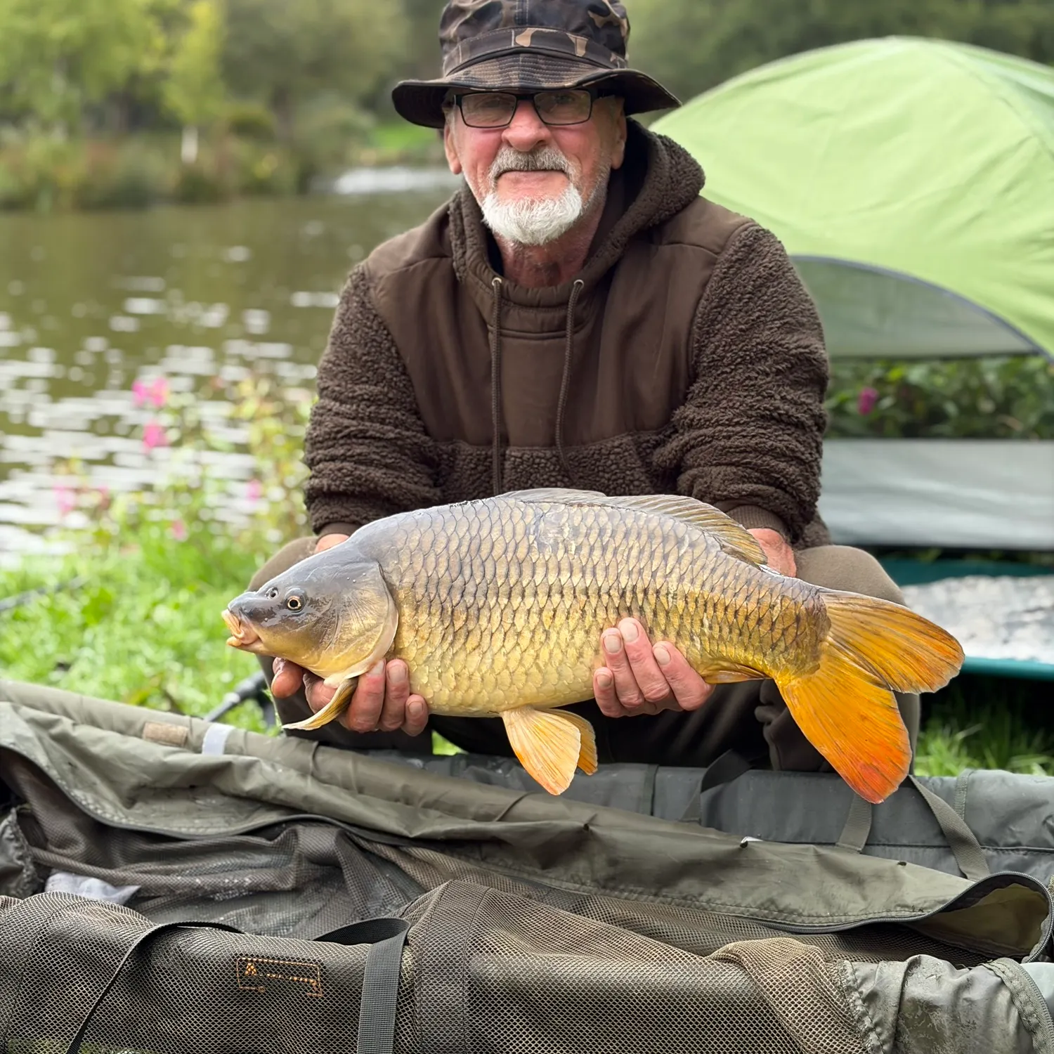Common carp caught on Fishbrain