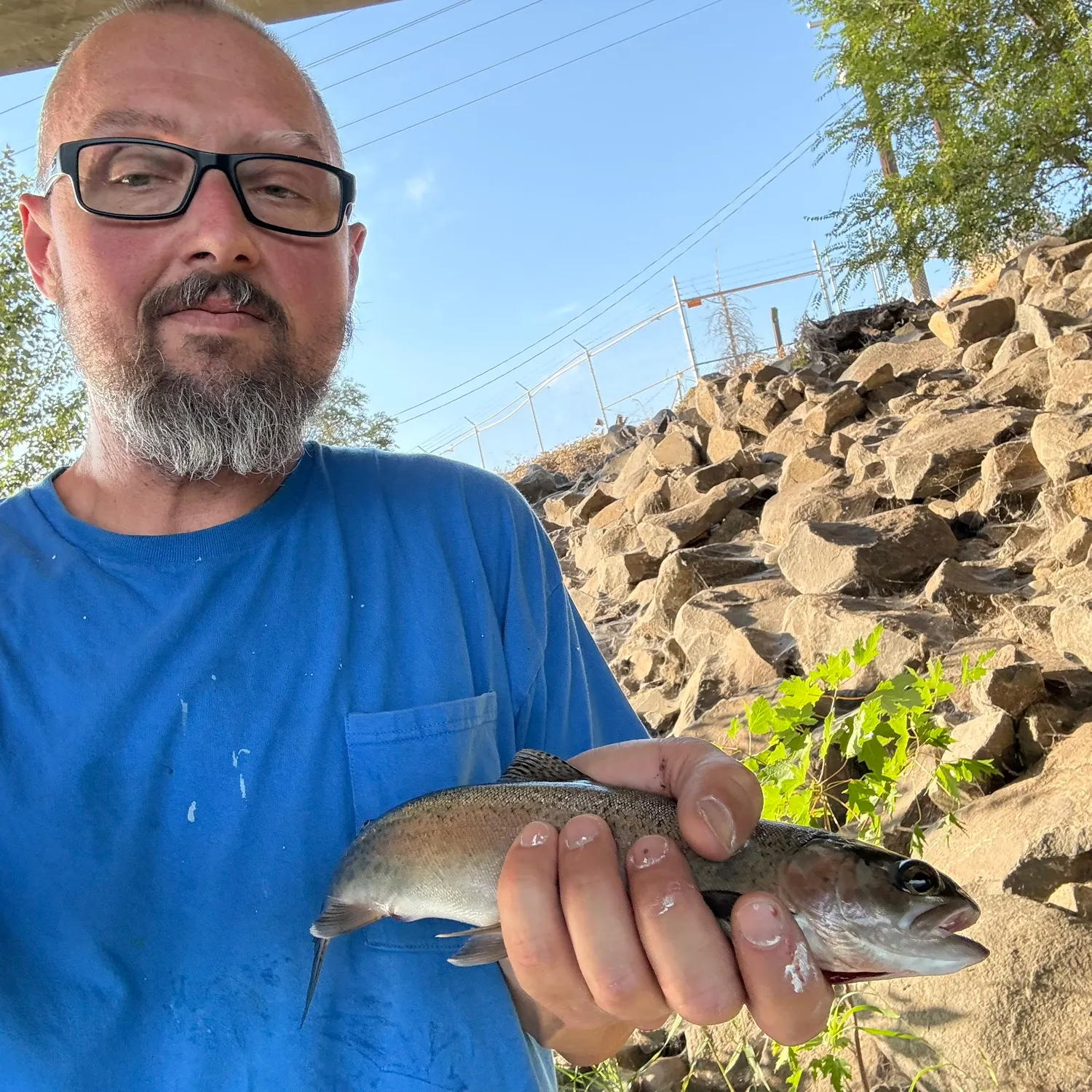 Rainbow trout caught on Fishbrain