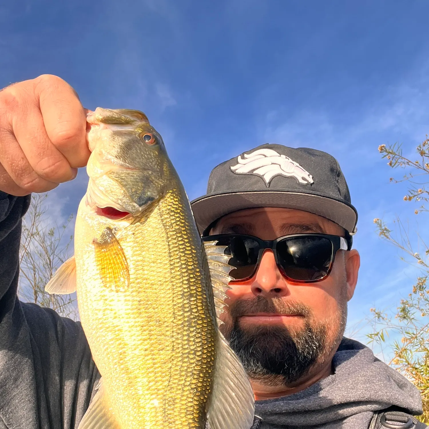 The most recent Largemouth bass catches on Fishbrain