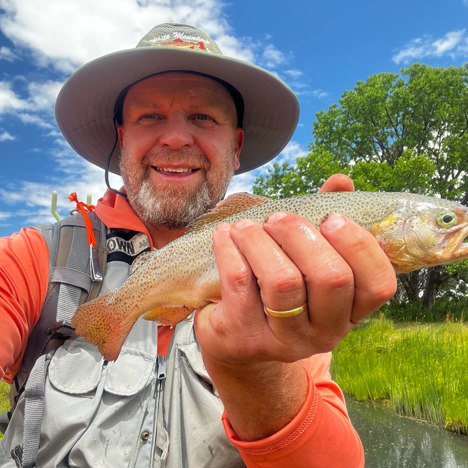 The most recent Apache trout catches on Fishbrain