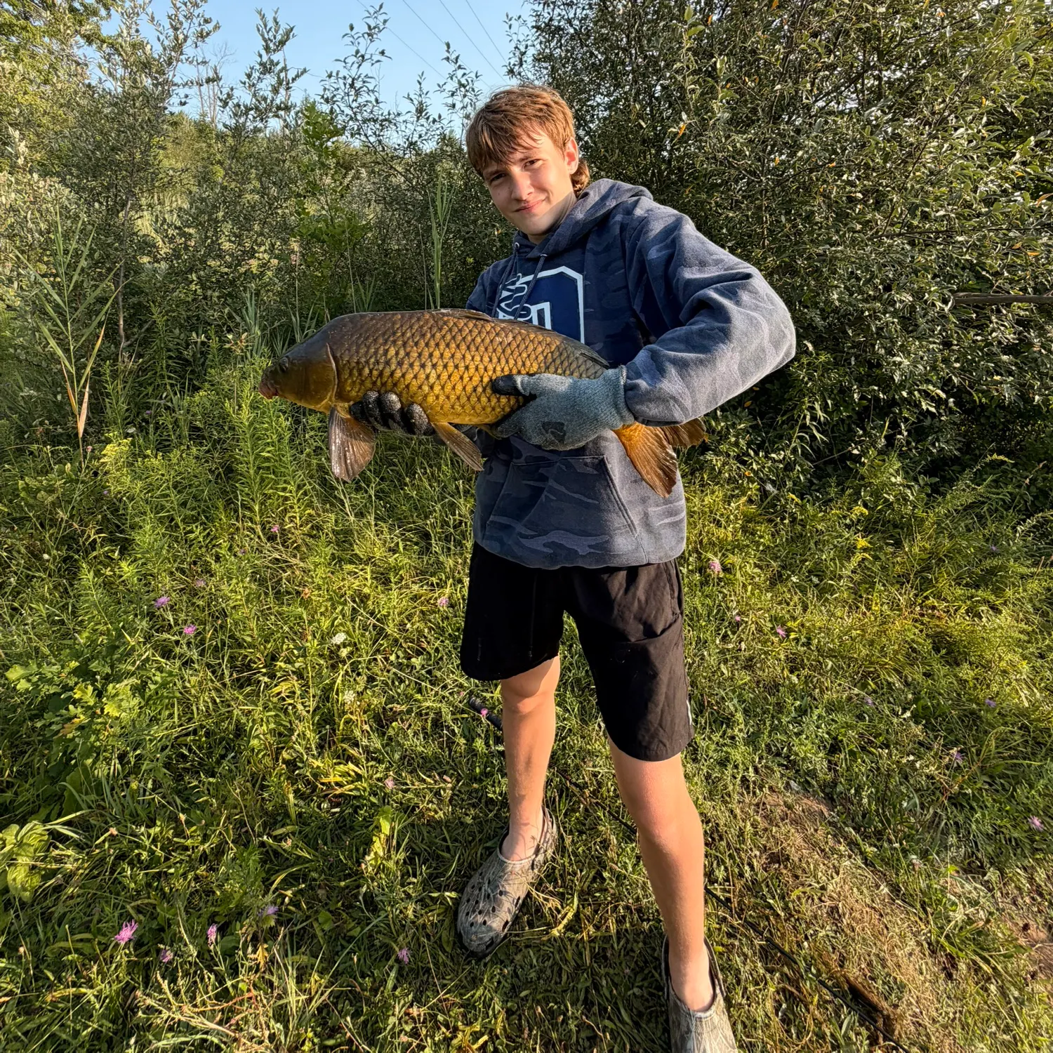Common carp caught on Fishbrain