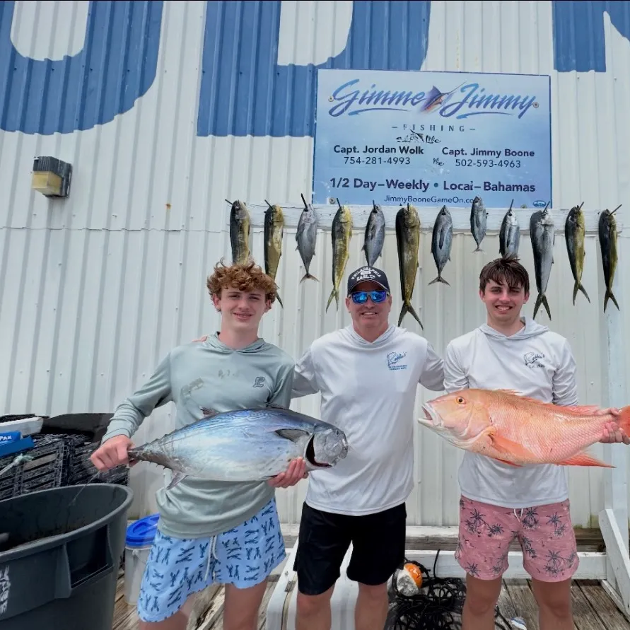 The most recent Blackfin tuna catches on Fishbrain