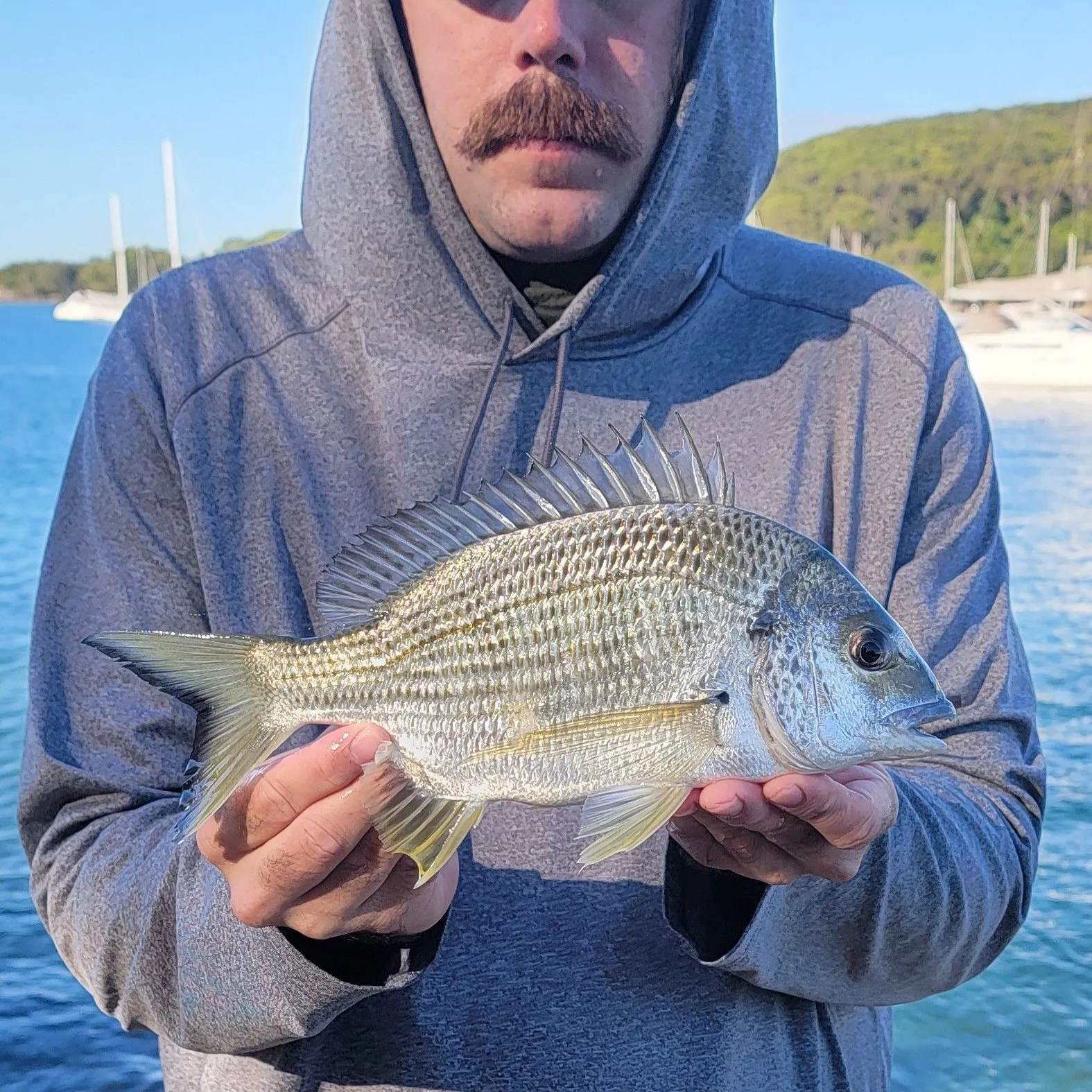 The most popular recent Black drummer catch on Fishbrain