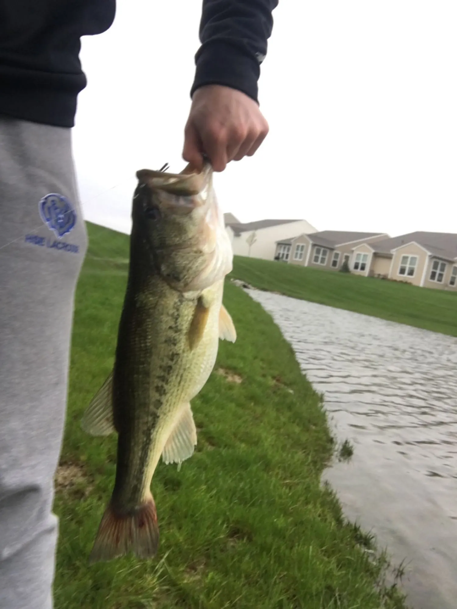 Post image from zhanesmith