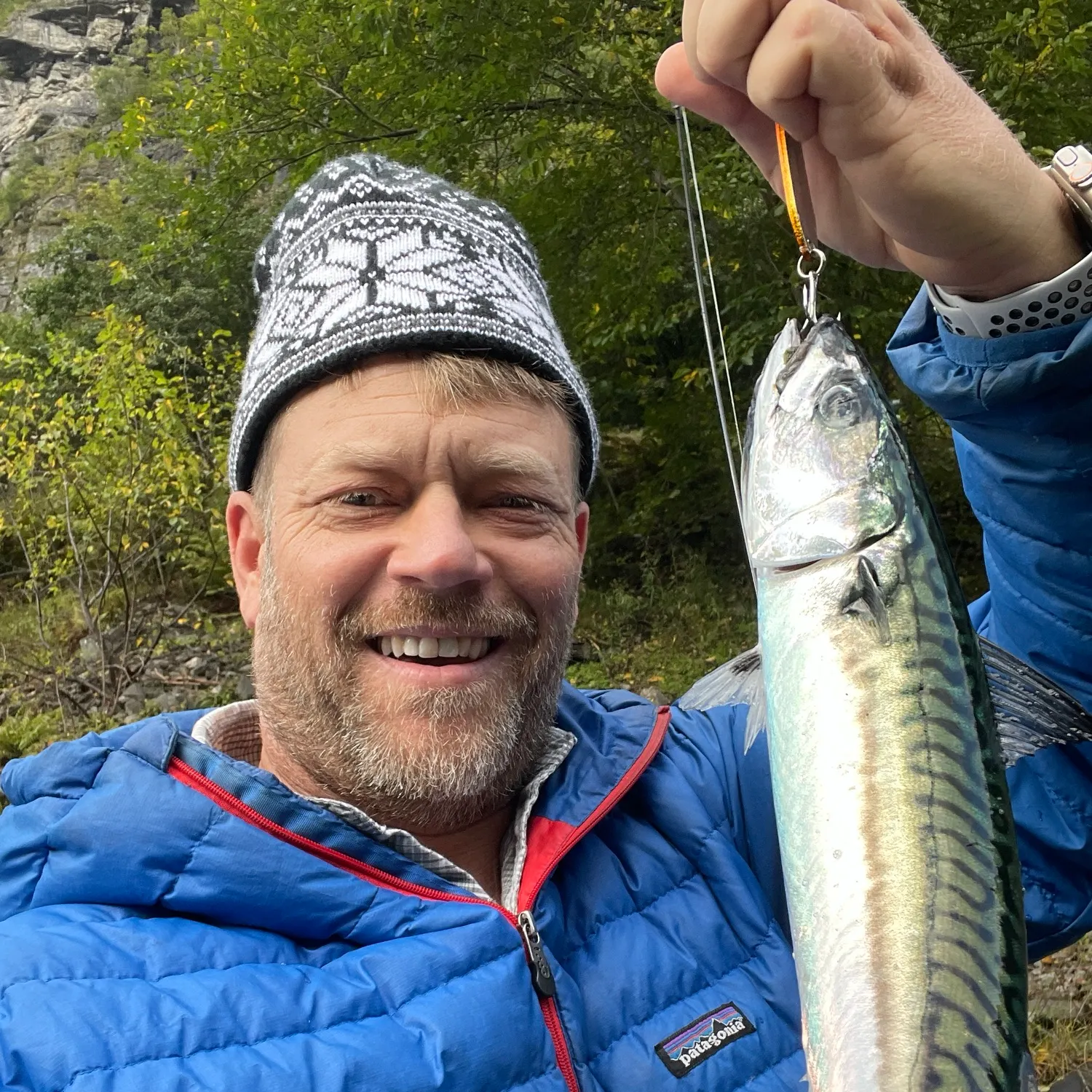 Atlantic mackerel caught on Fishbrain