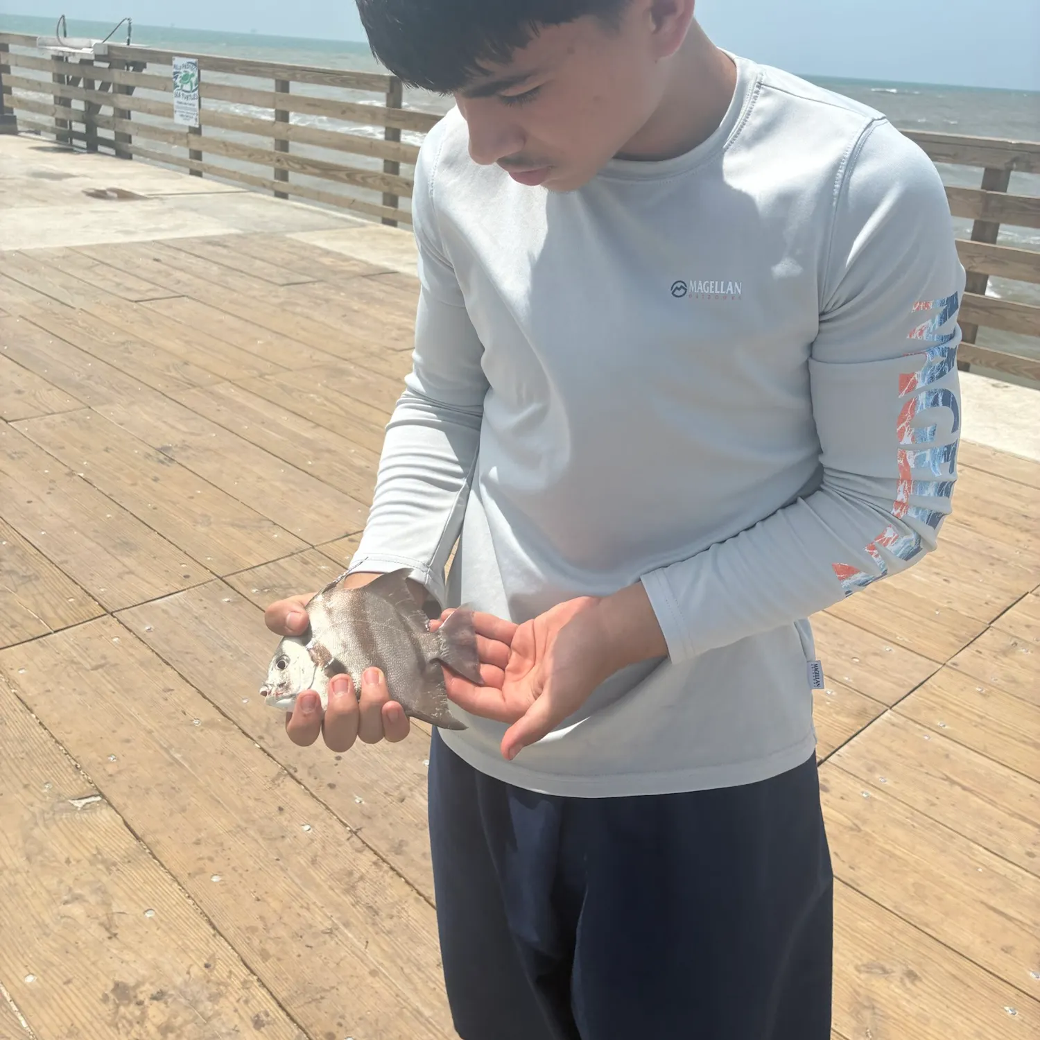 The most recent Atlantic spadefish catches on Fishbrain