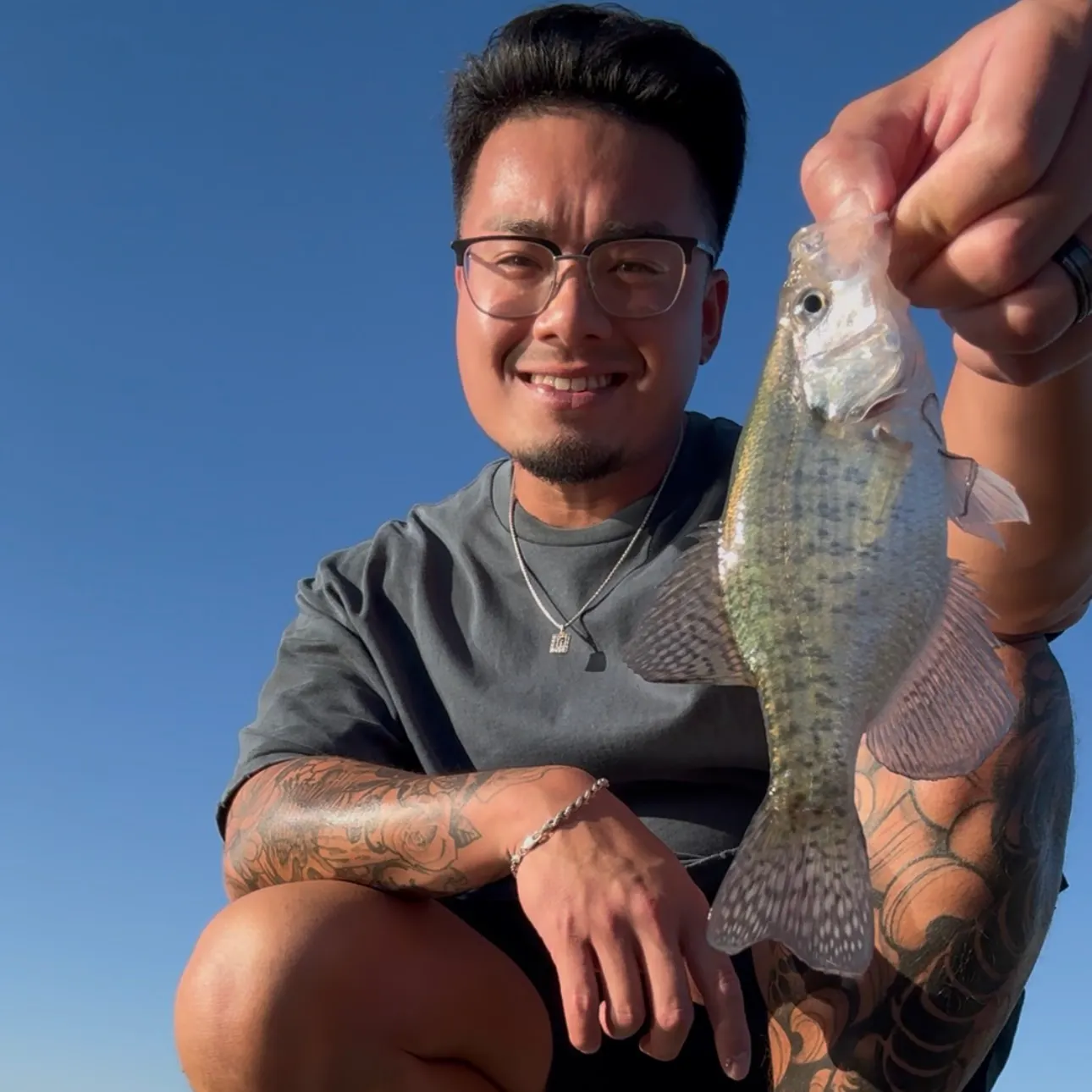 White crappie caught on Fishbrain