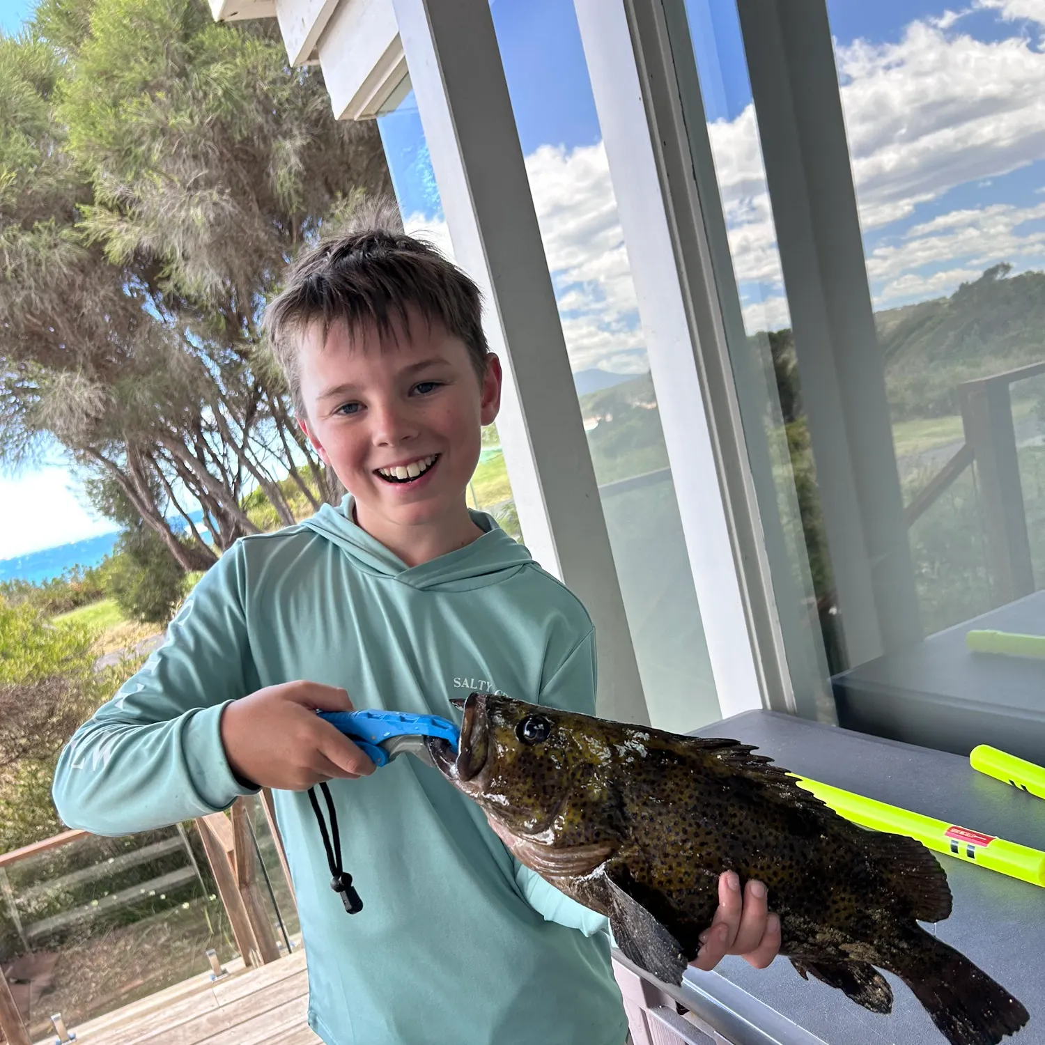 The most recent Eastern wirrah catches on Fishbrain