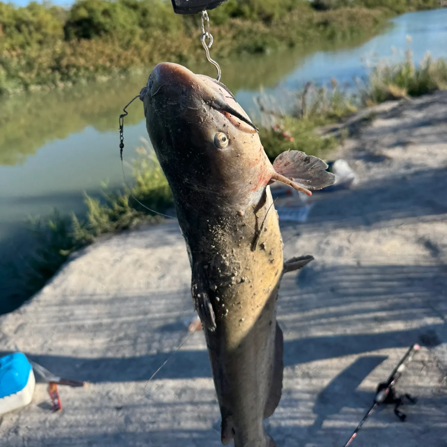 catch