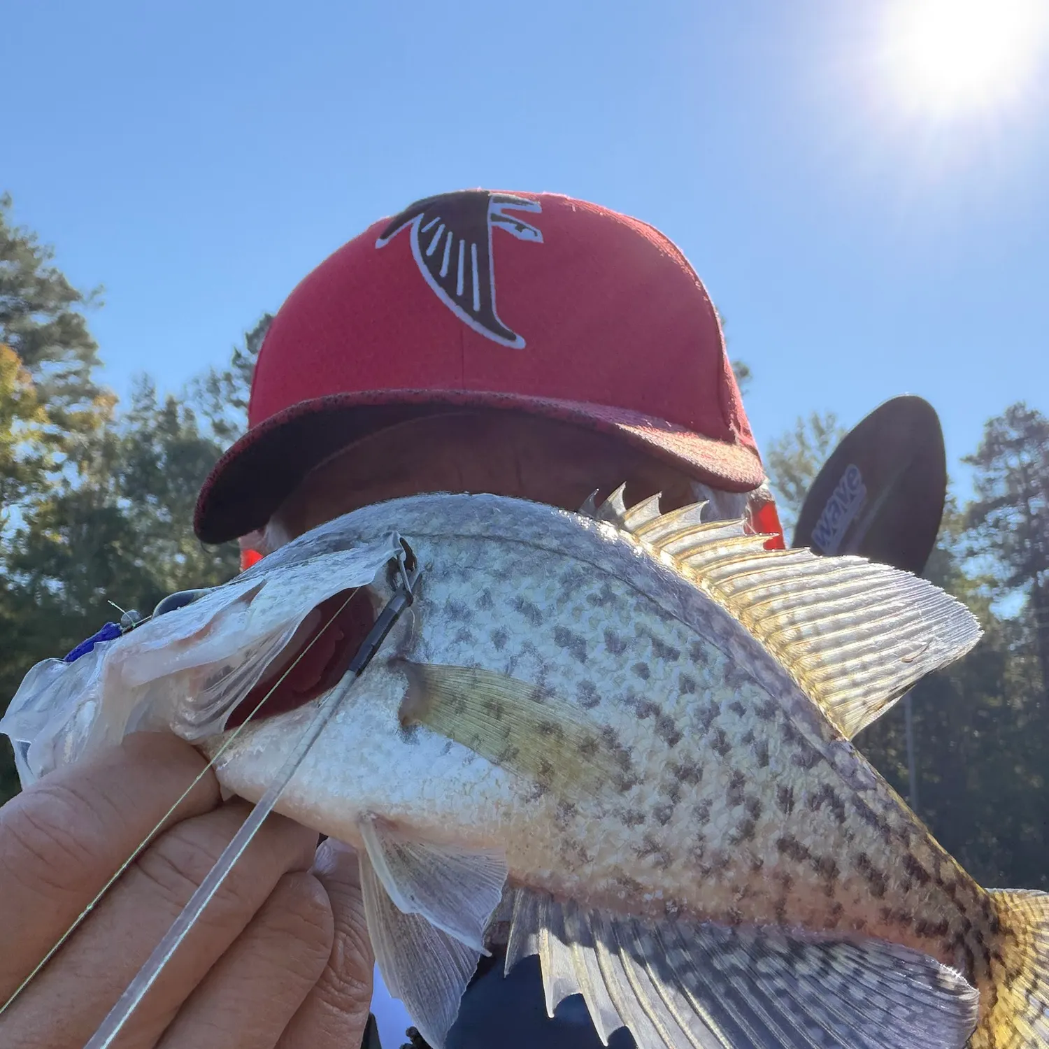Black crappie caught on Fishbrain