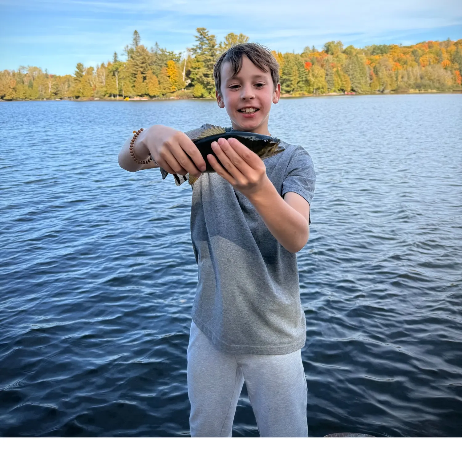 Smallmouth bass caught on Fishbrain
