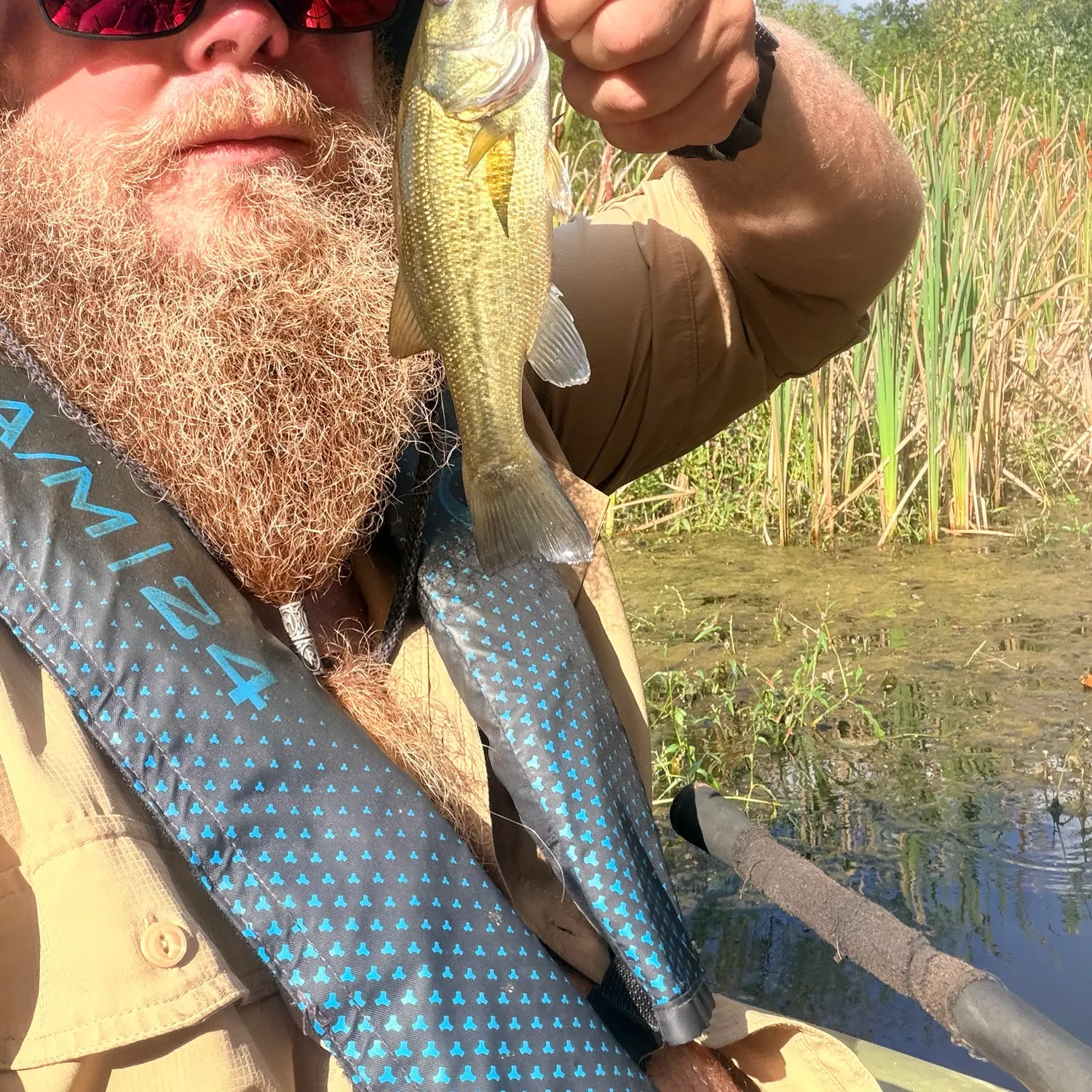 Largemouth bass caught on Fishbrain