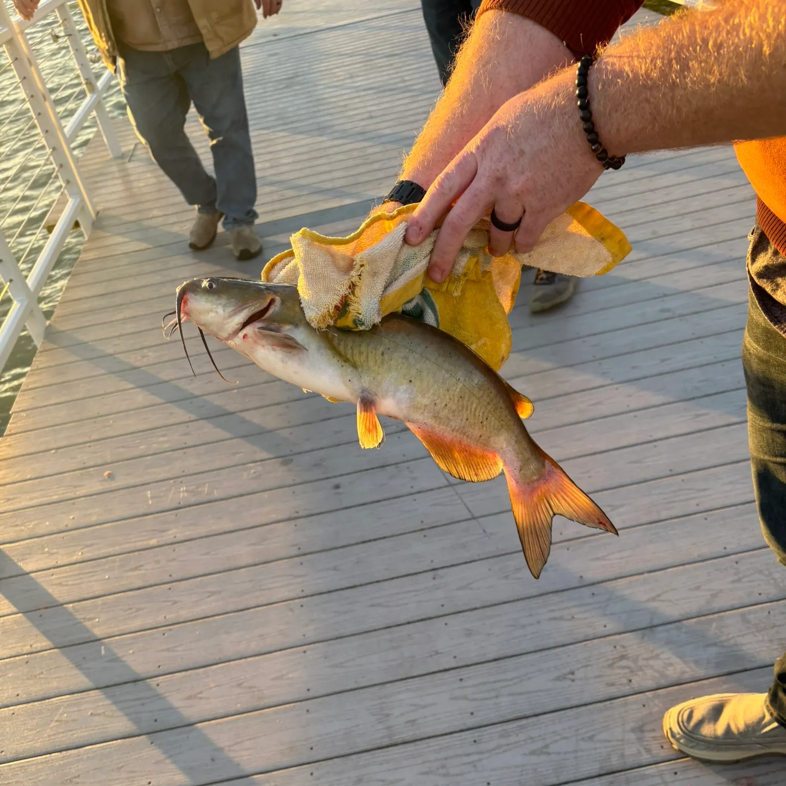 catch