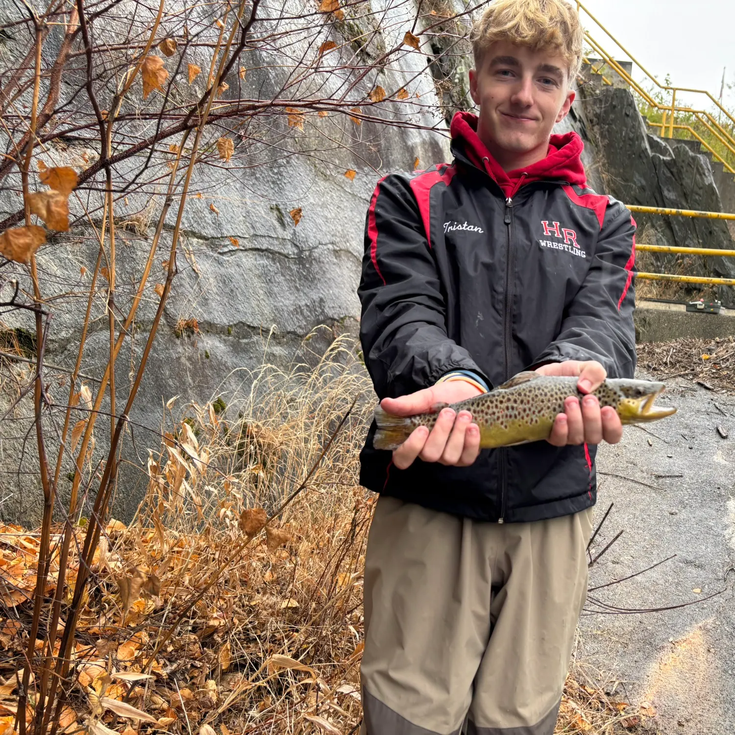 Brown trout caught on Fishbrain