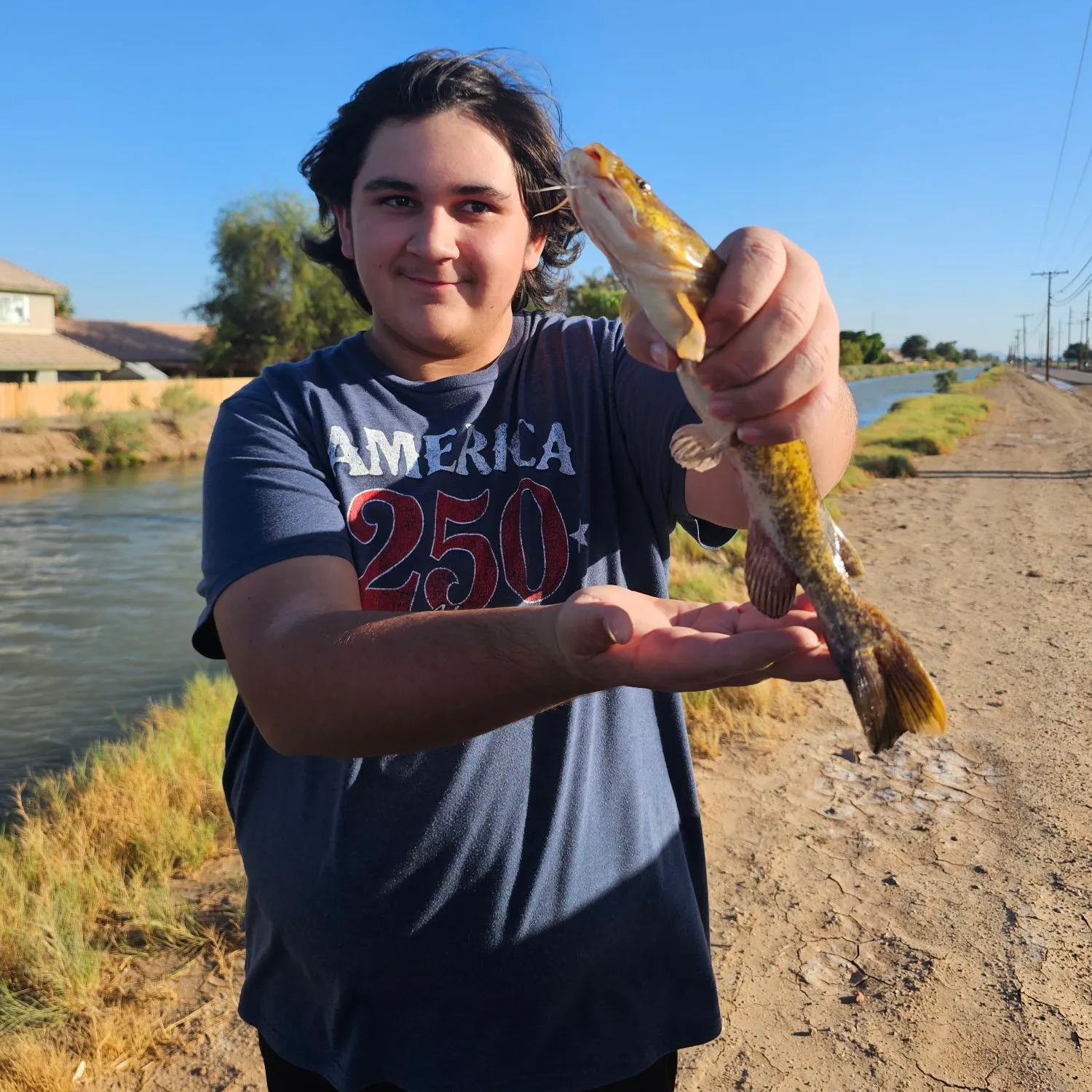 Flathead catfish caught on Fishbrain
