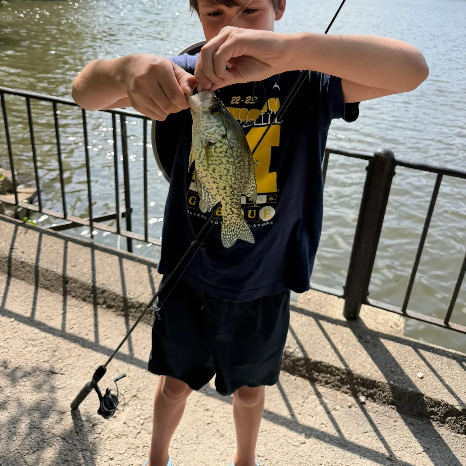 Black crappie caught on Fishbrain