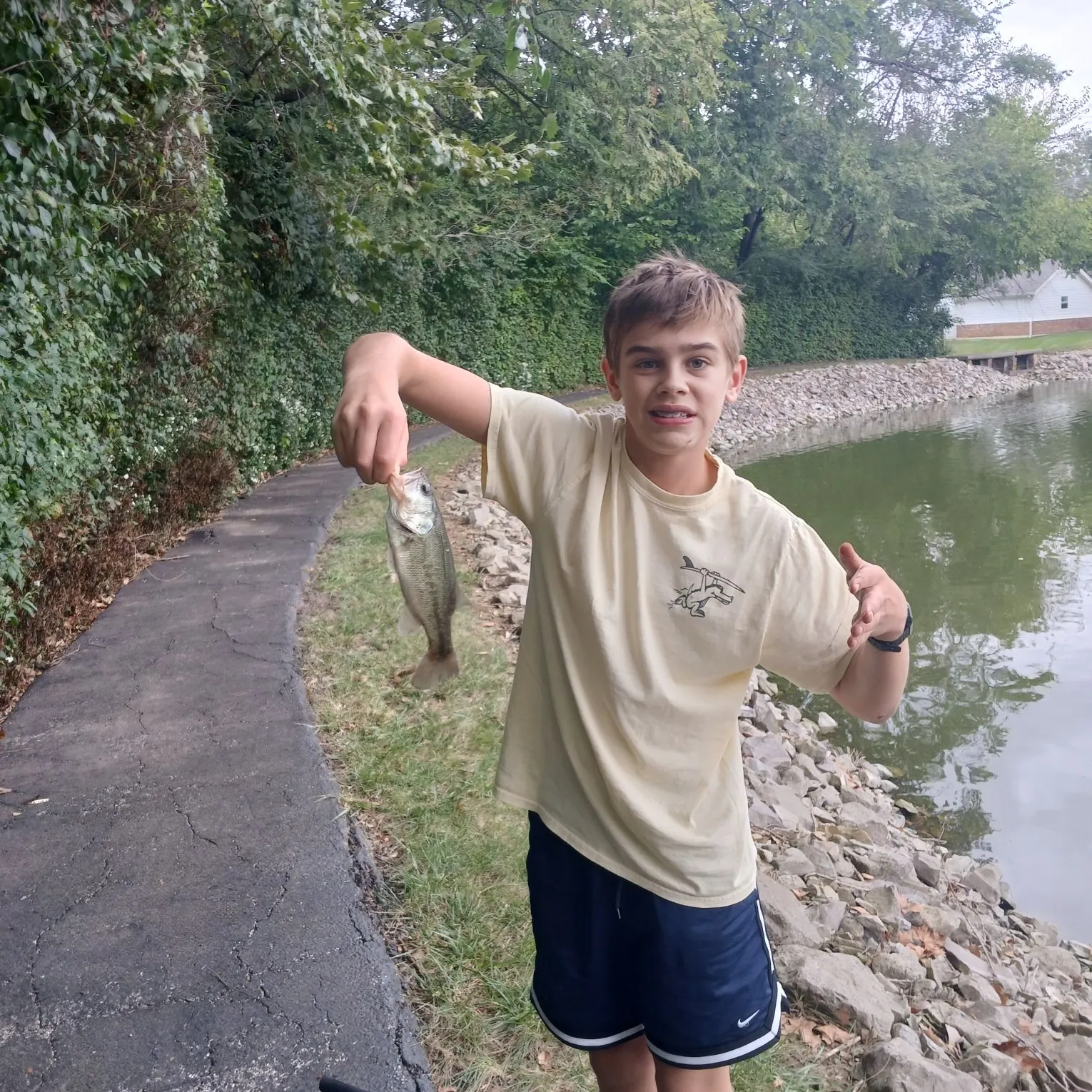 Largemouth bass caught on Fishbrain